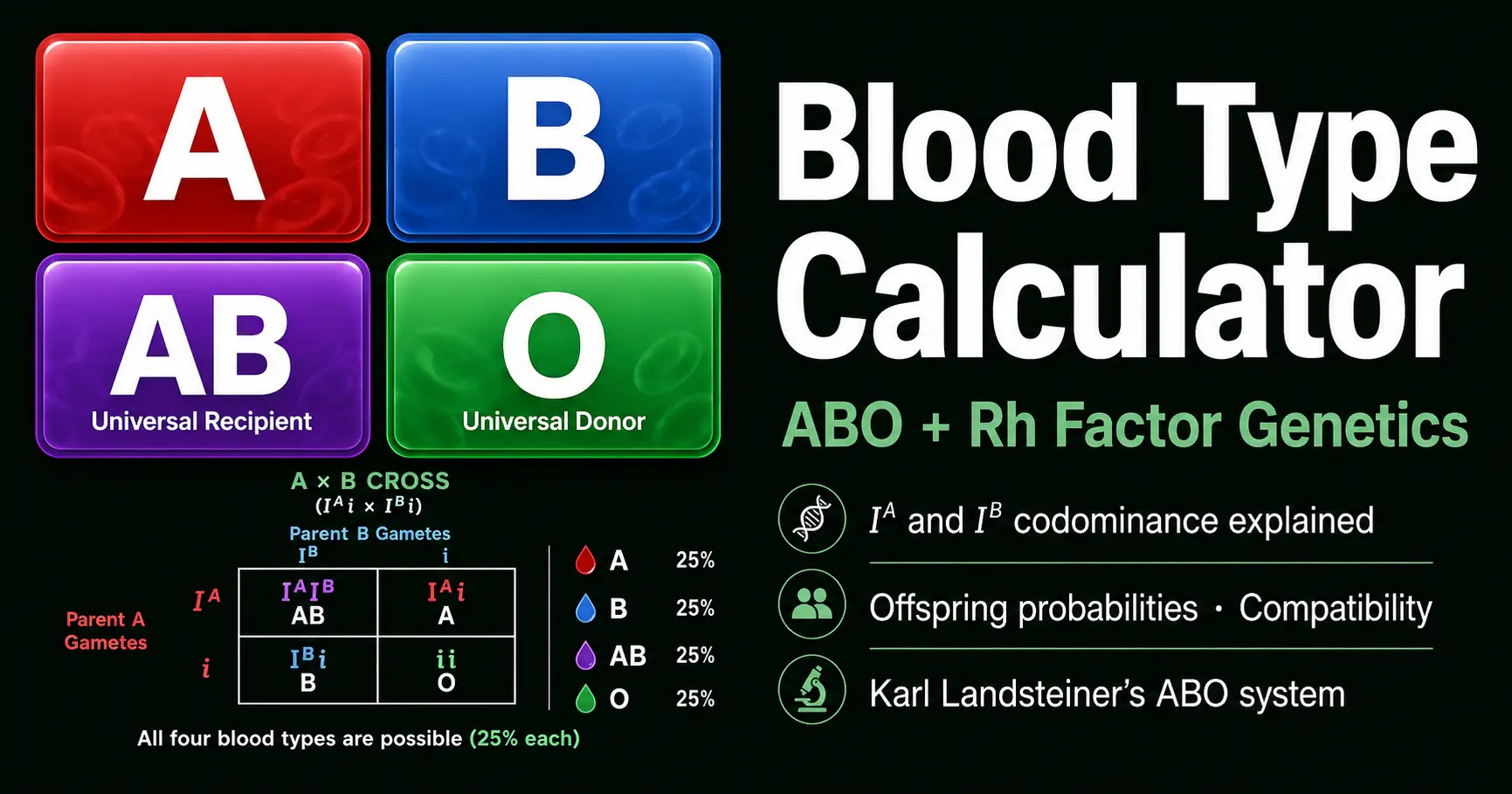 ABO blood group inheritance diagram showing genotype combinations for blood types A, B, AB, and O