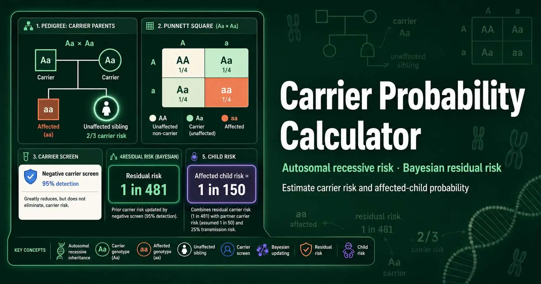 Autosomal recessive carrier probability diagram showing an unaffected sibling, carrier parents, negative screening residual risk, and affected-child probability