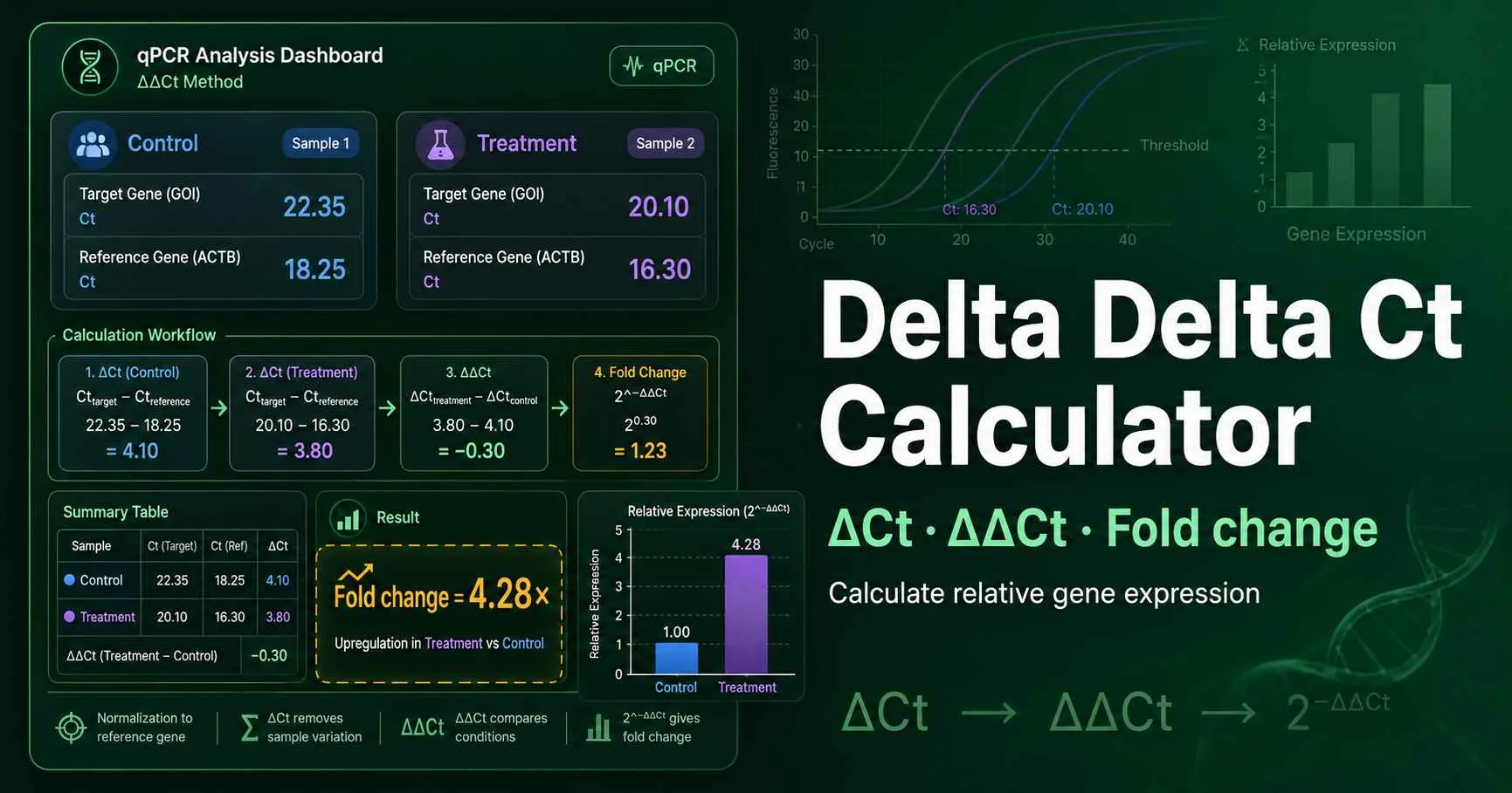 Delta Delta Ct qPCR fold change diagram showing target gene Ct, reference gene Ct, control sample, treated sample, ΔCt, ΔΔCt, and fold change
