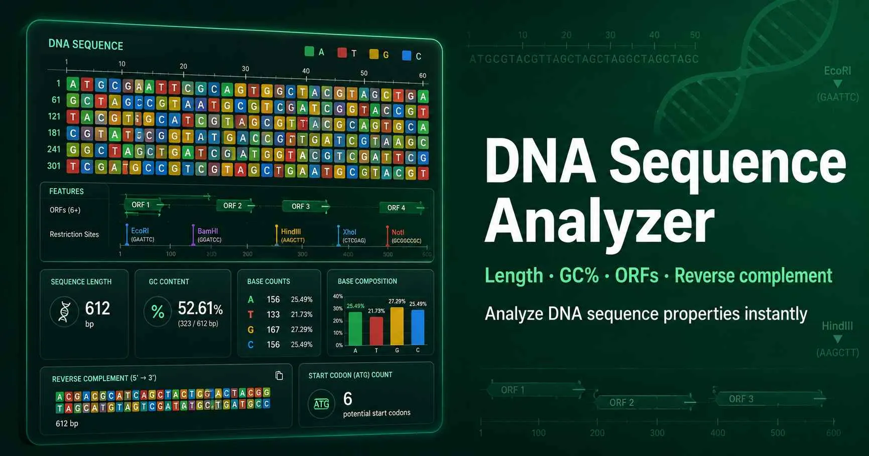 DNA sequence analysis dashboard showing base composition, GC content, reverse complement, open reading frames, codon usage, and restriction enzyme sites