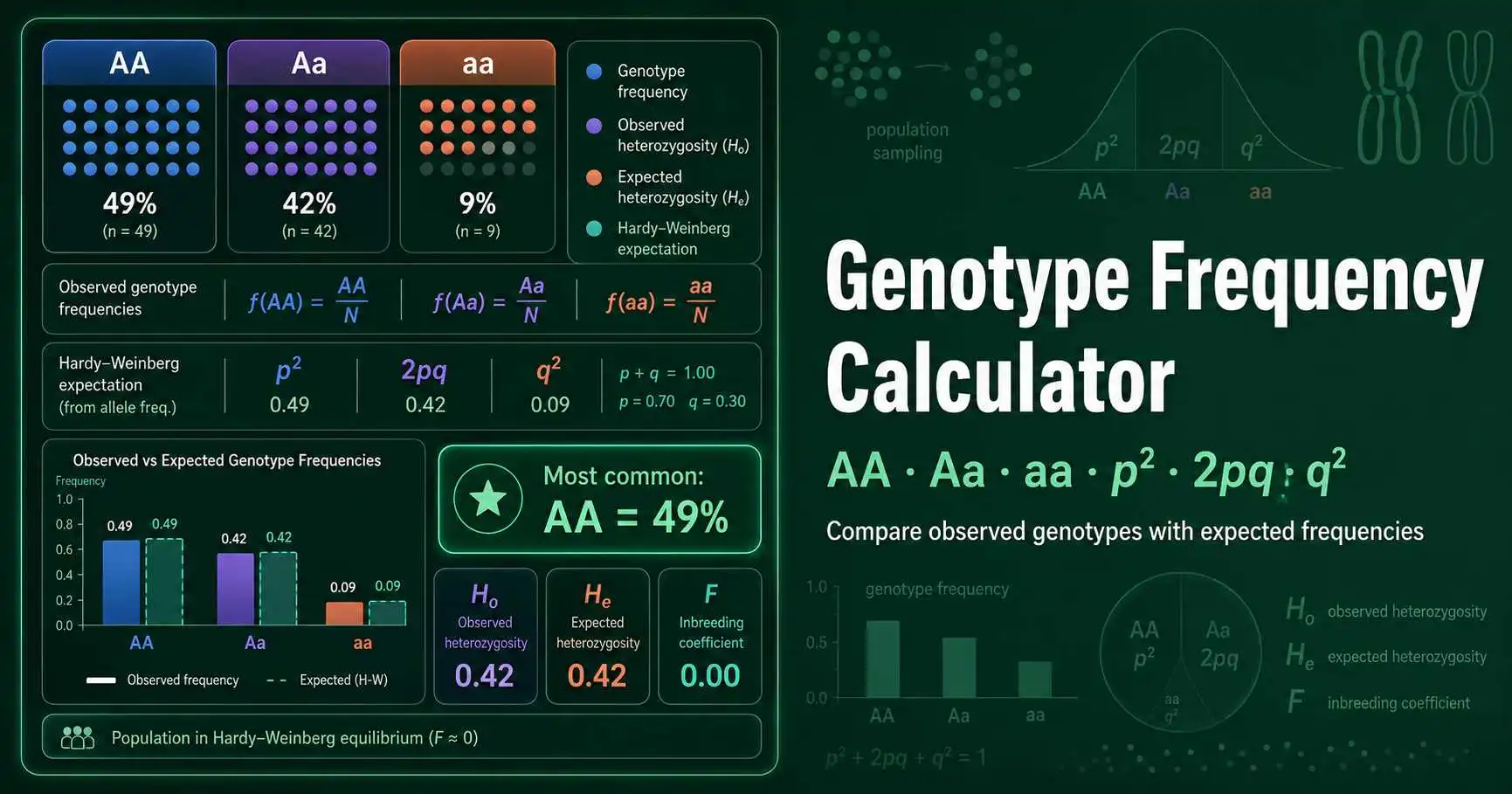 Genotype frequency diagram comparing AA, Aa, and aa observed genotype proportions with Hardy-Weinberg expected proportions