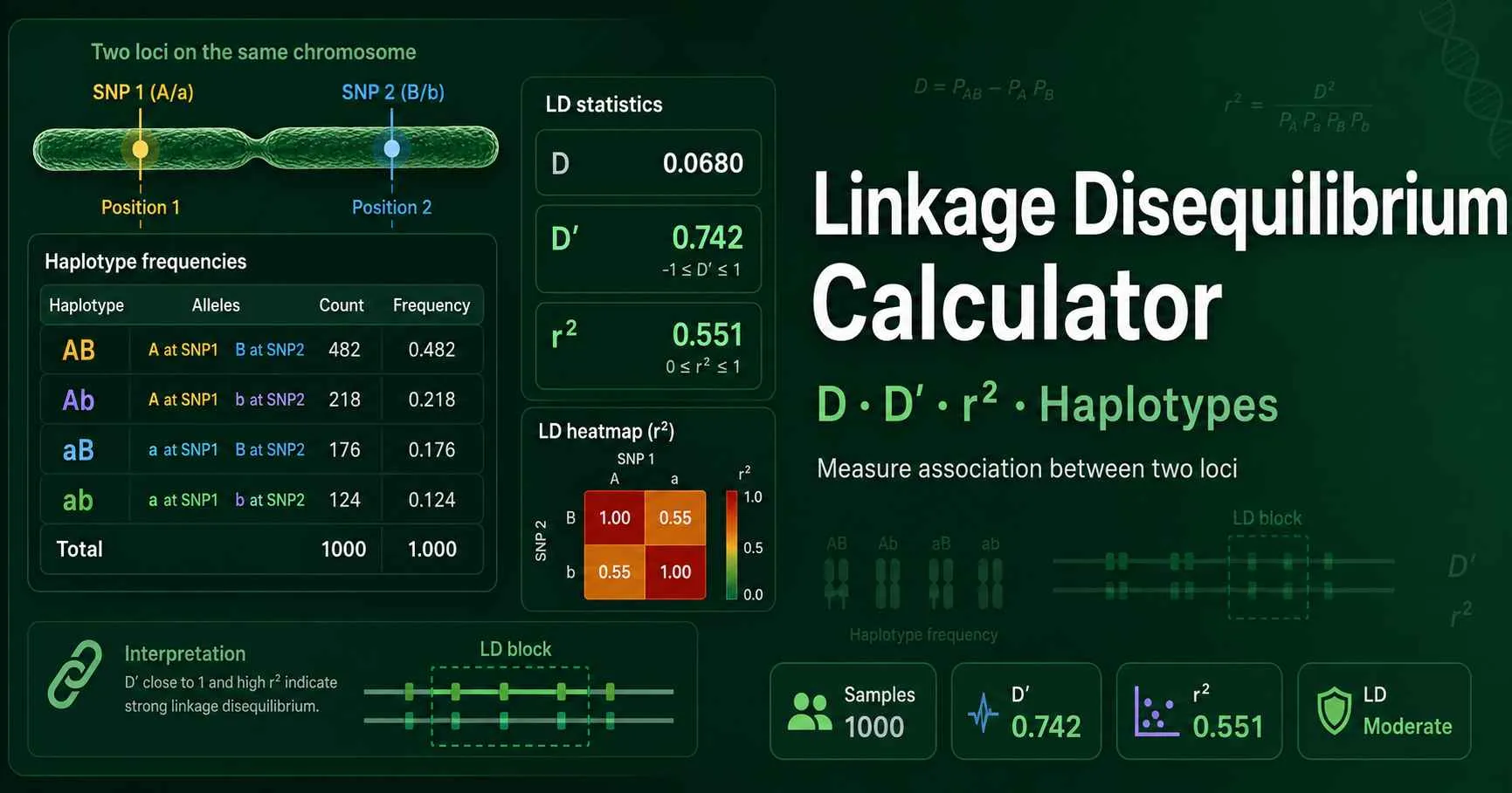 Linkage disequilibrium diagram showing two SNP loci, AB Ab aB ab haplotypes, D prime, r squared, and allele-frequency bars
