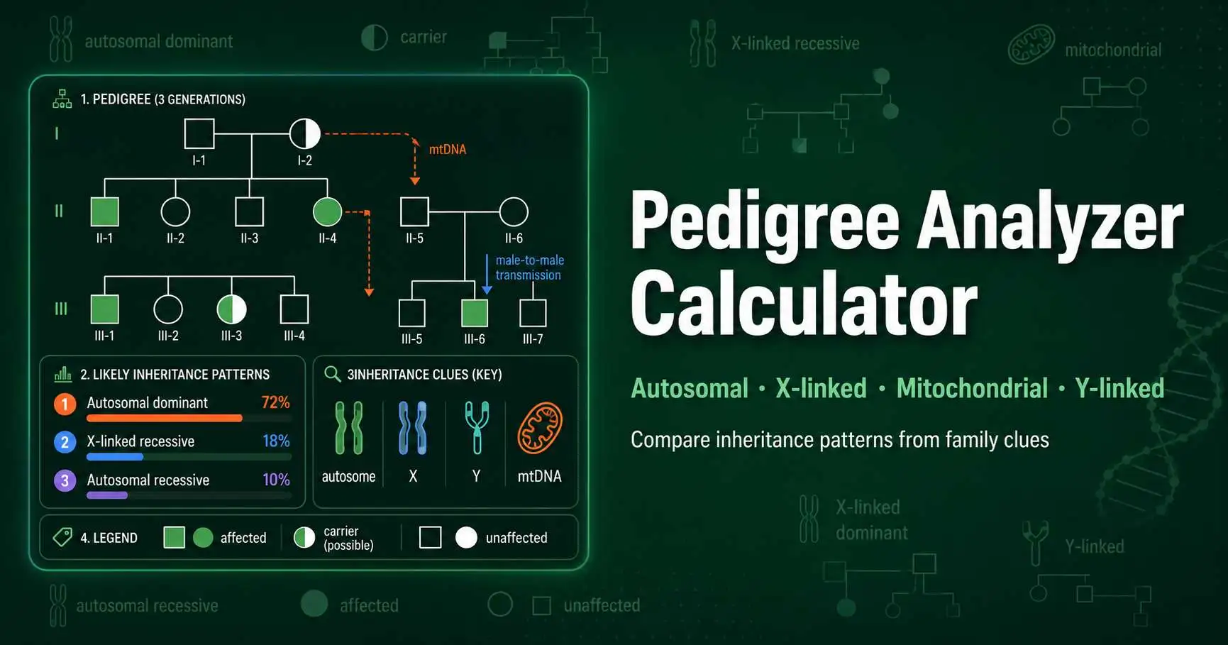 Pedigree Analyzer Calculator diagram comparing autosomal dominant, autosomal recessive, X-linked, mitochondrial, and Y-linked inheritance patterns
