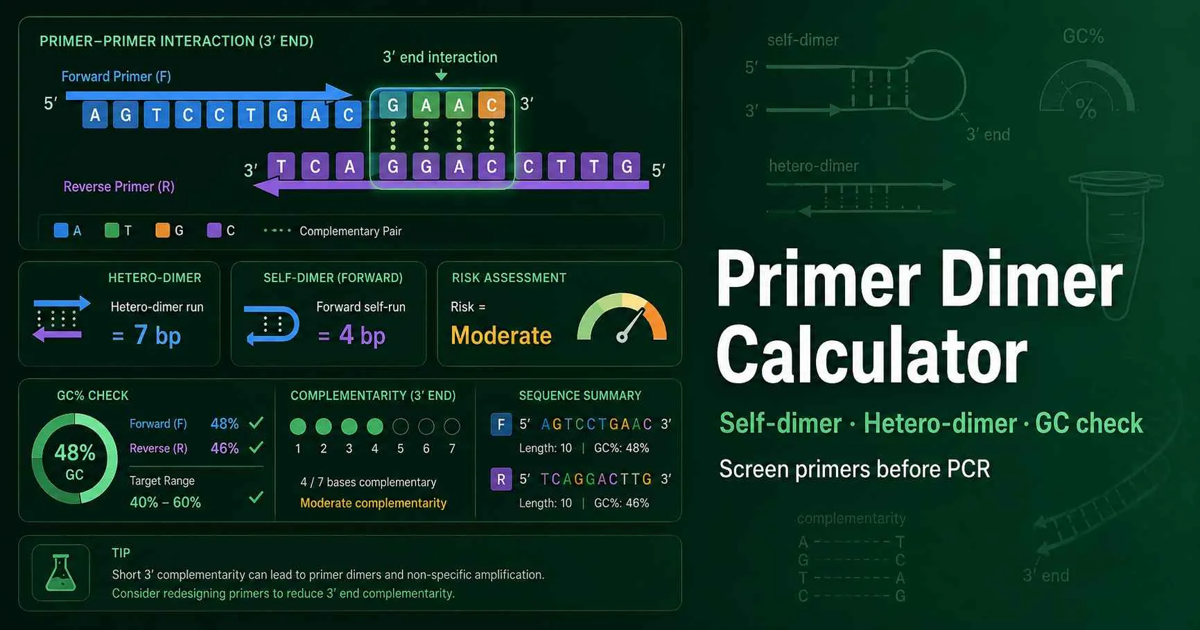 Primer dimer calculator diagram showing forward and reverse primers with 3 prime complementarity, self-dimer, hetero-dimer, GC content, and PCR risk score