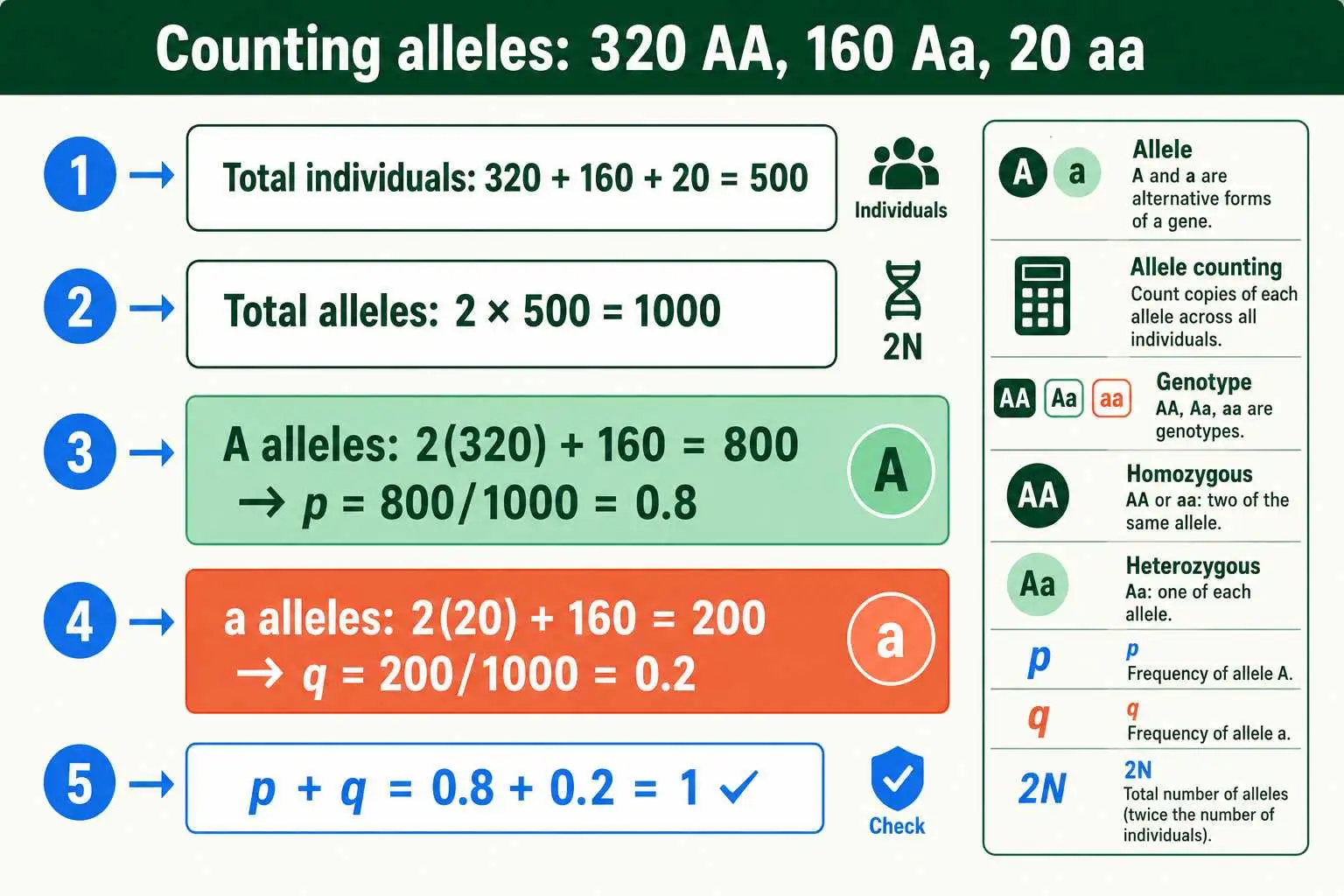 Allele counting worked example