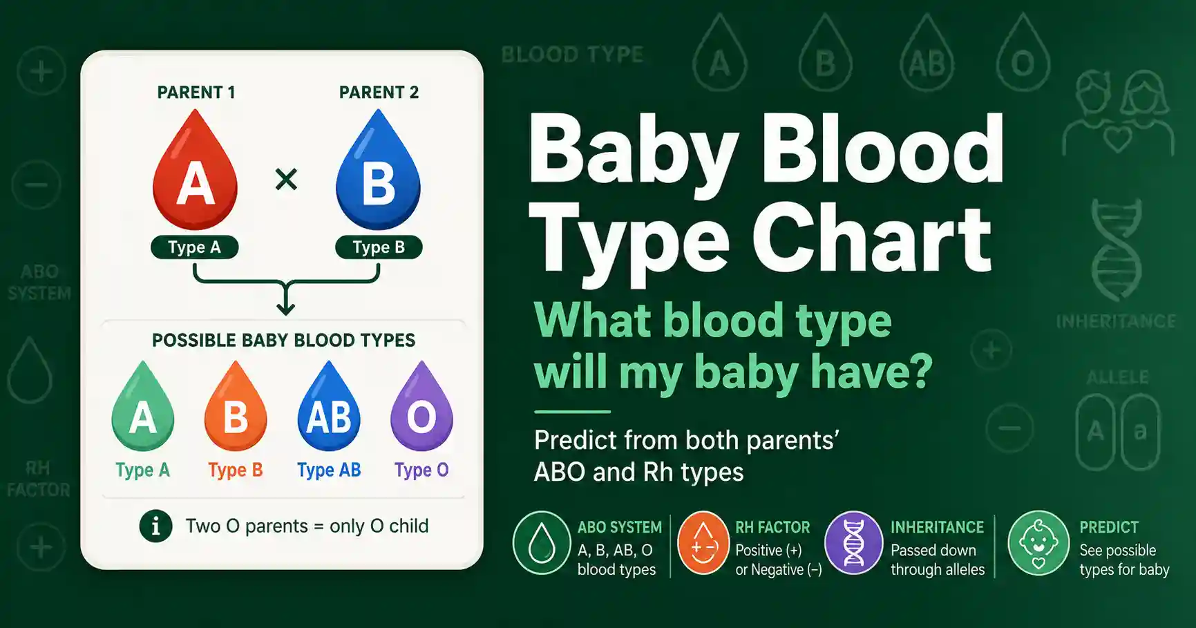 Baby Blood Type Chart: What Will My Baby Have? featured image
