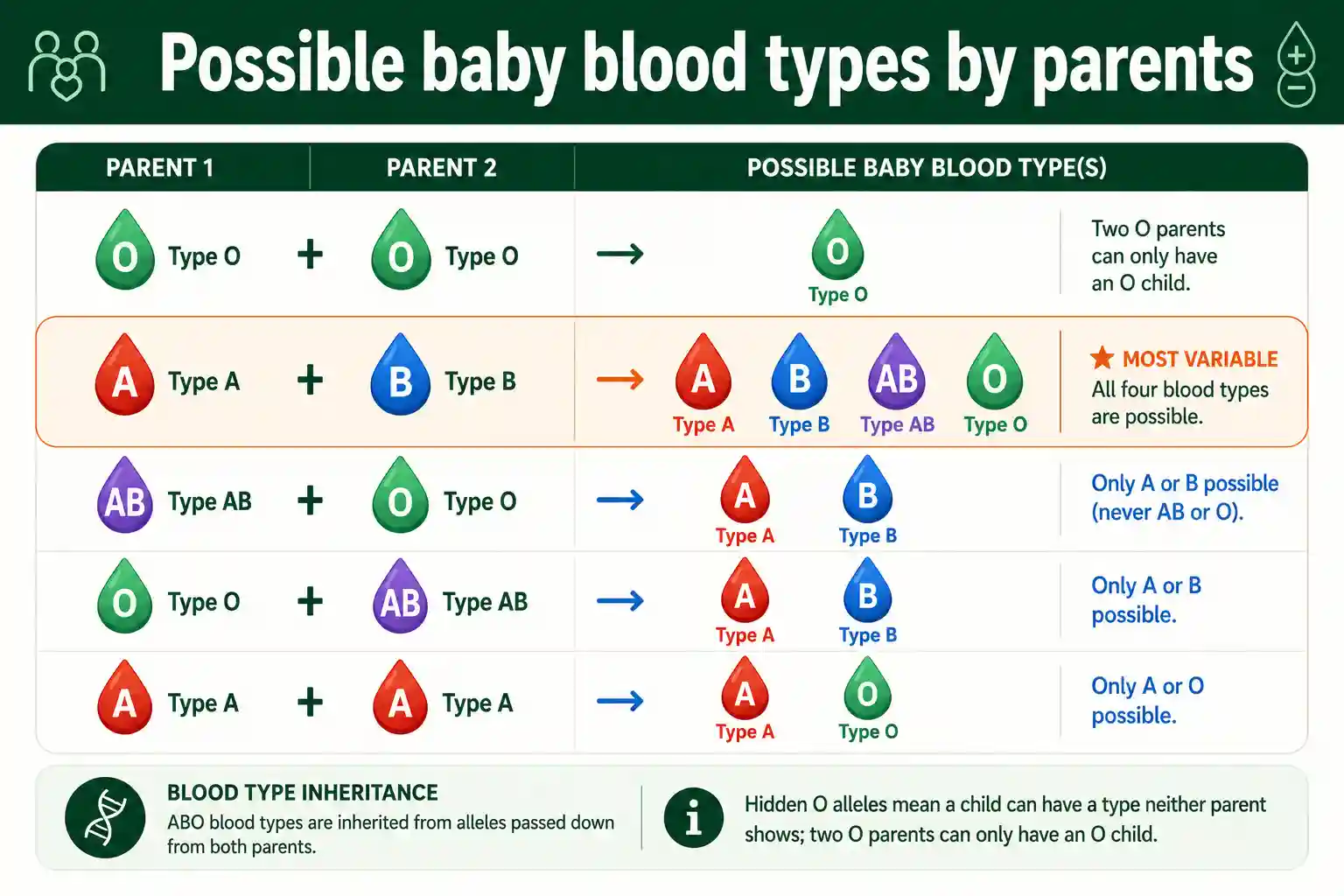 Full chart of possible baby blood types by parent combination
