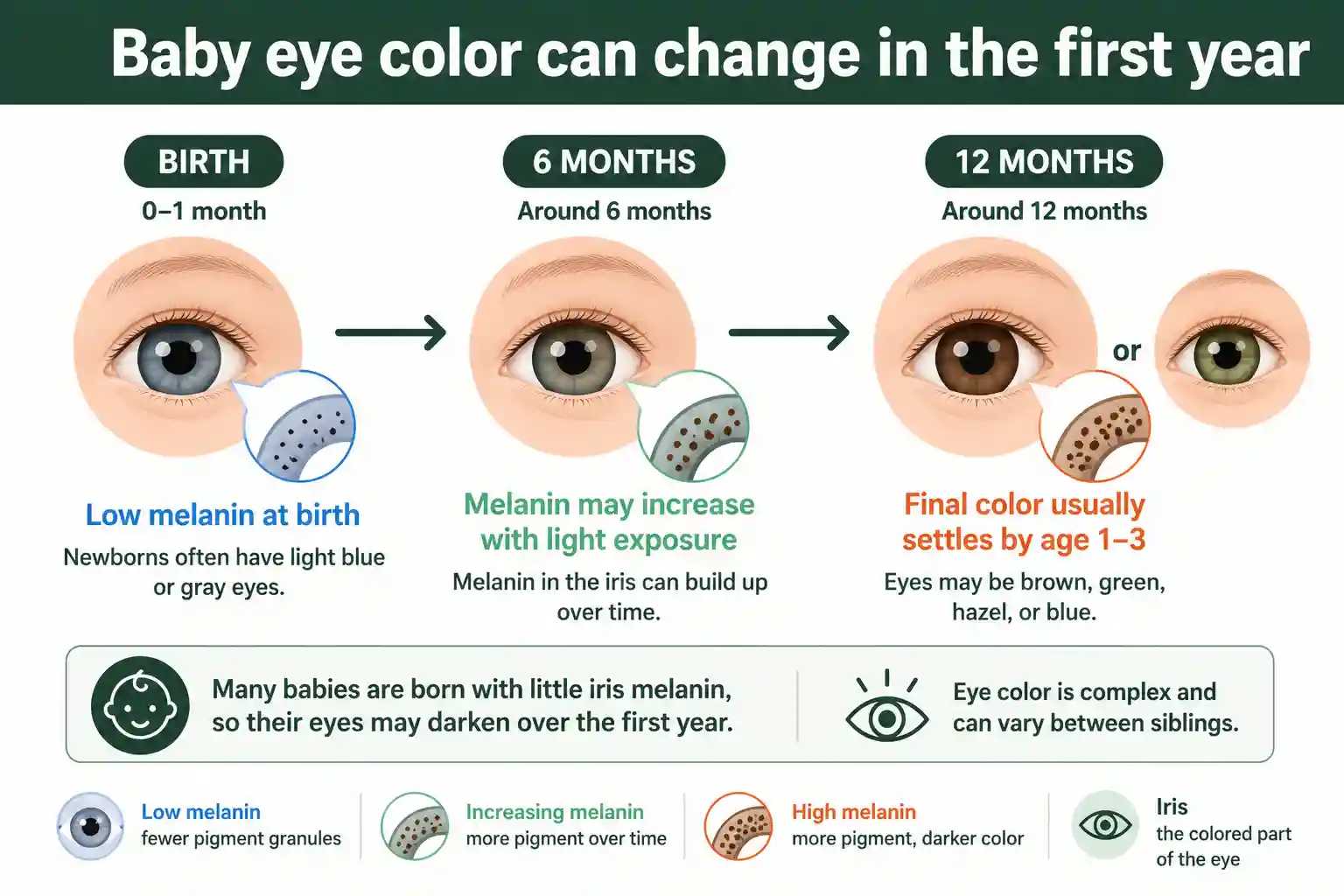 Many babies' eye color changes during the first year
