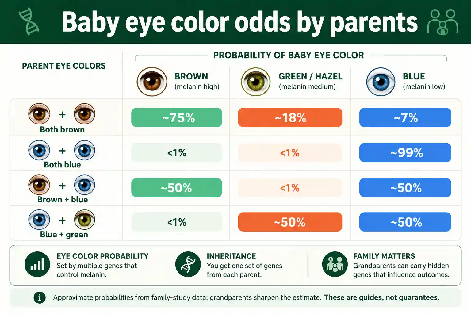Probability chart of baby eye color by parents' eye colors
