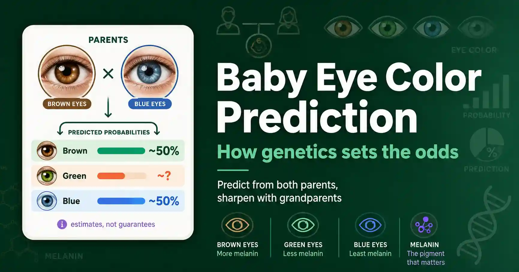 Baby Eye Color Prediction: How Genetics Decides featured image