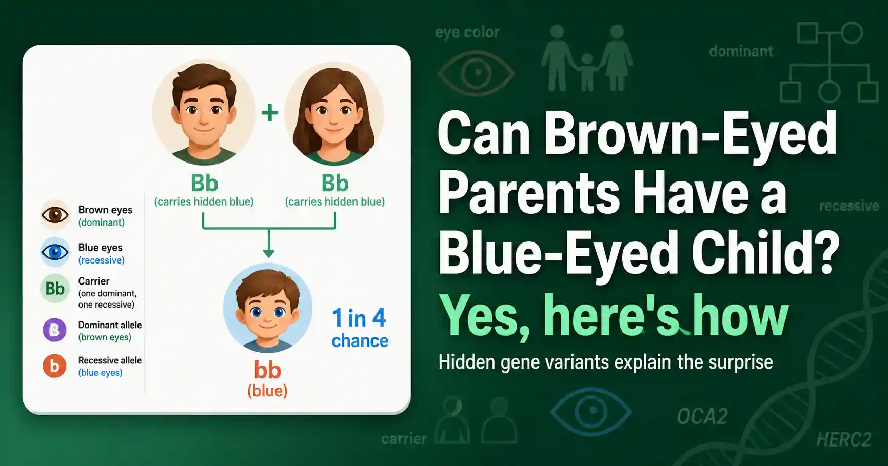 Can Brown-Eyed Parents Have a Blue-Eyed Child? featured image