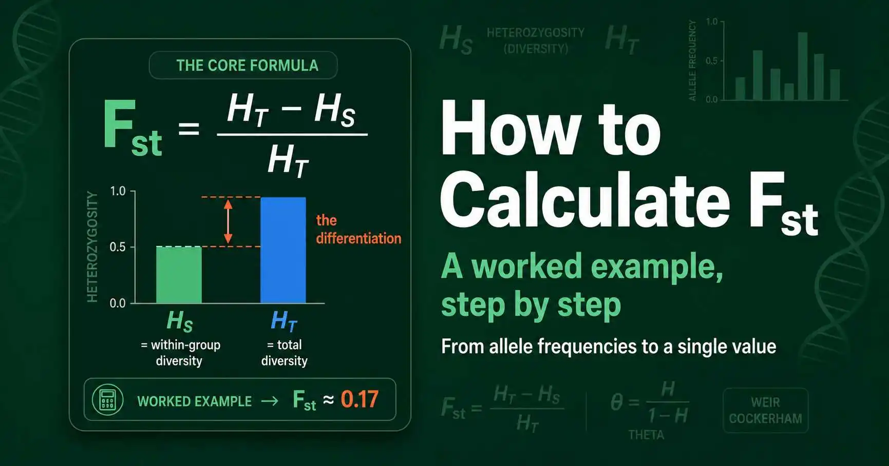 How to Calculate Fst: Formula and Worked Example featured image