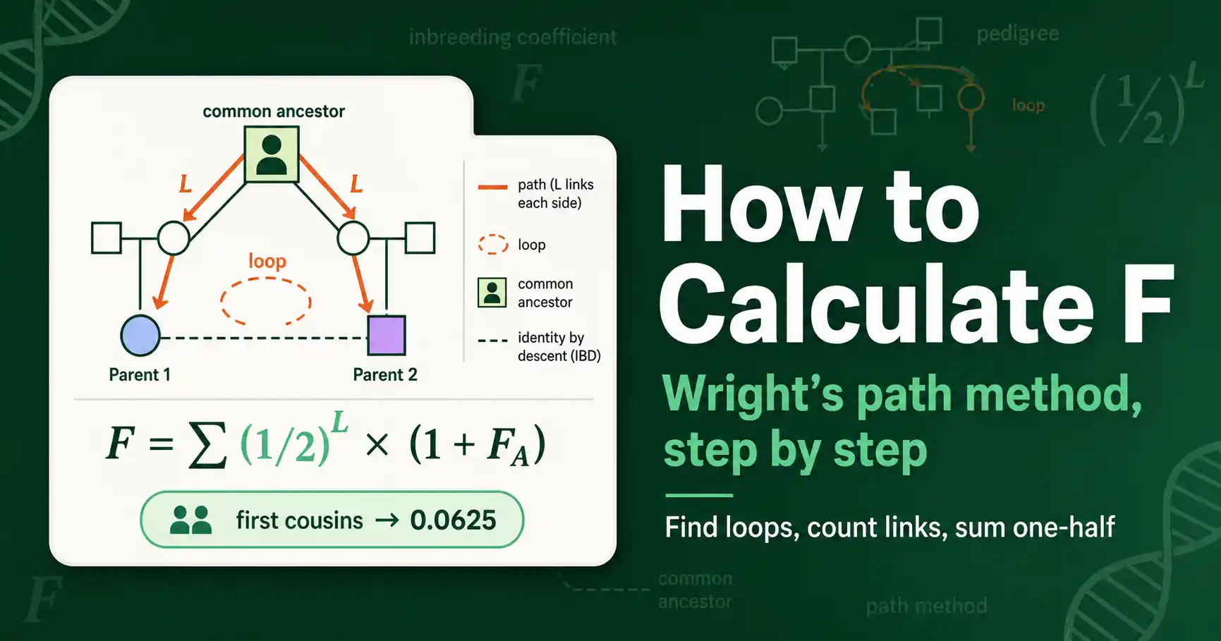 How to Calculate the Inbreeding Coefficient featured image