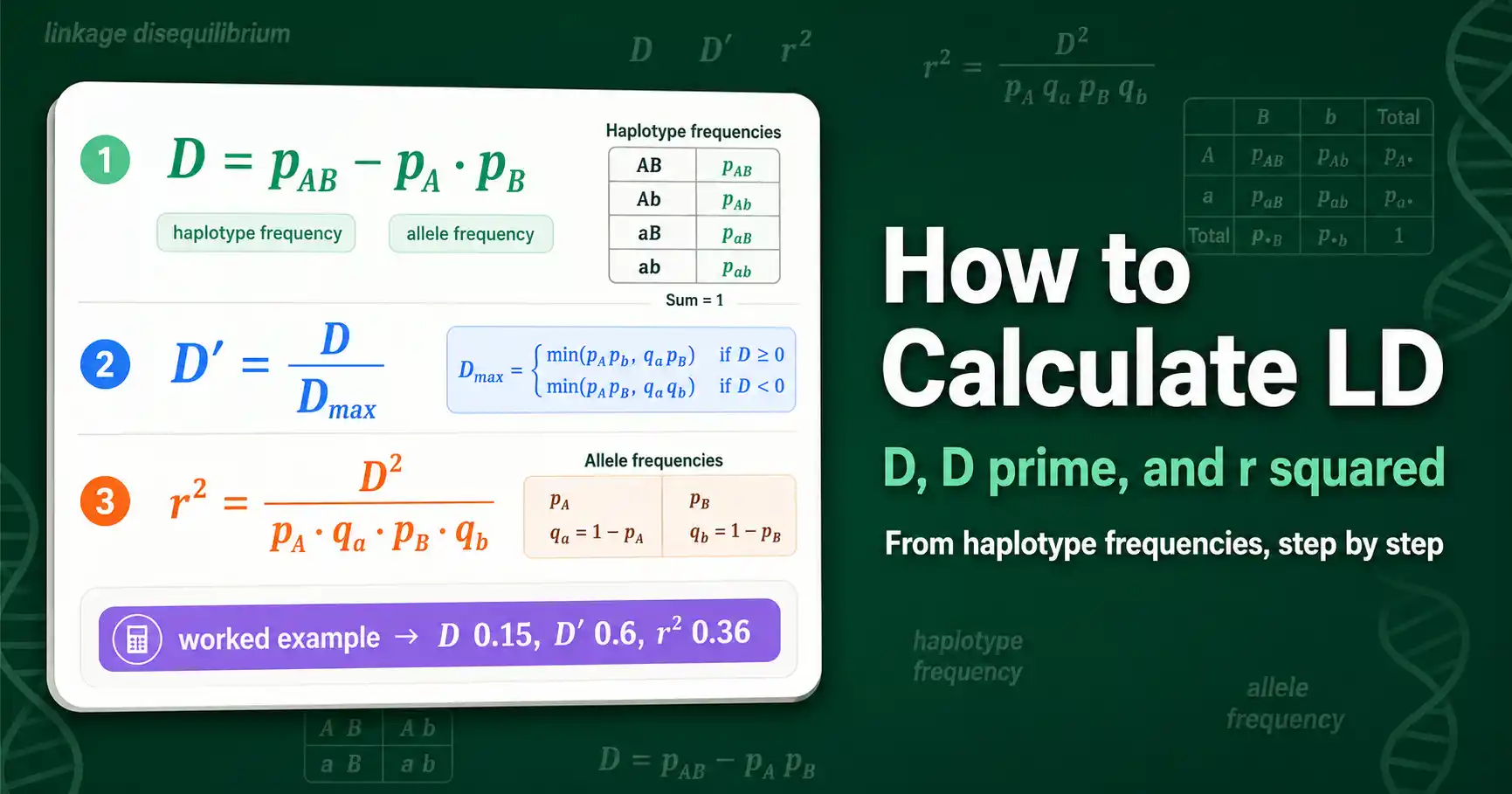How to Calculate Linkage Disequilibrium (D, D', r²) featured image