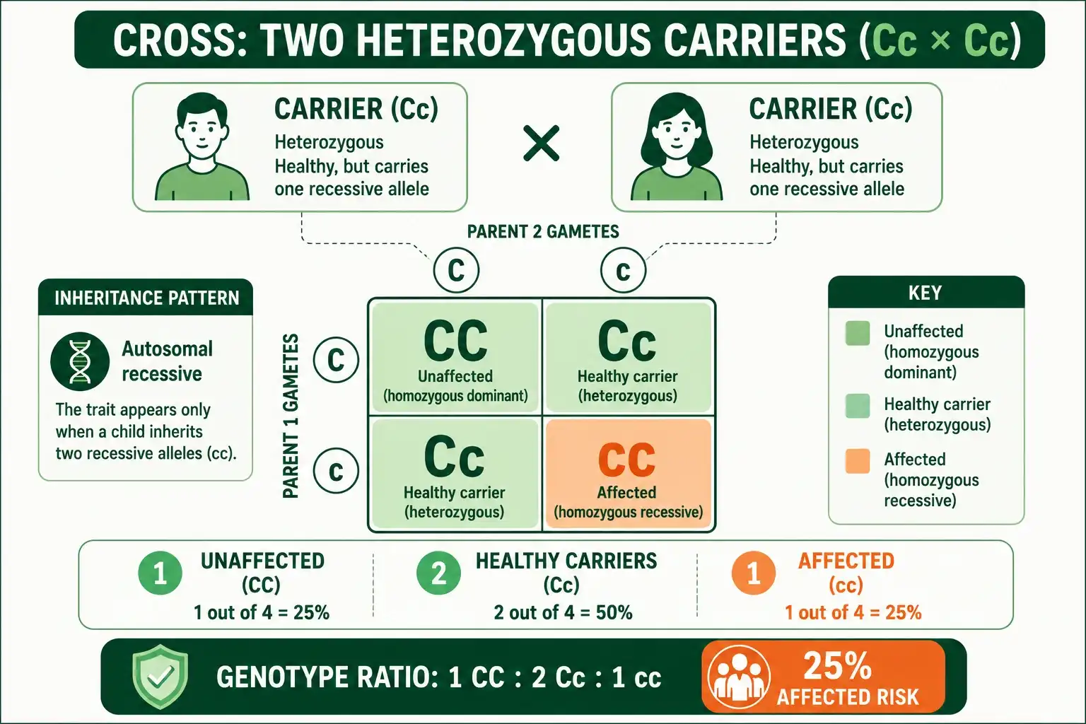 Two carriers cross