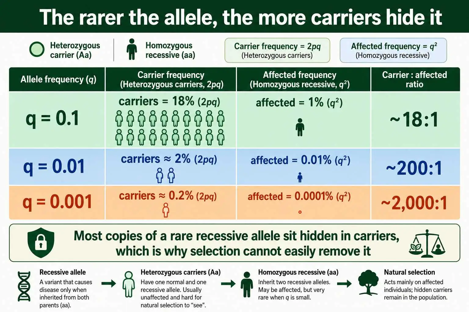 Carriers vs affected ratio