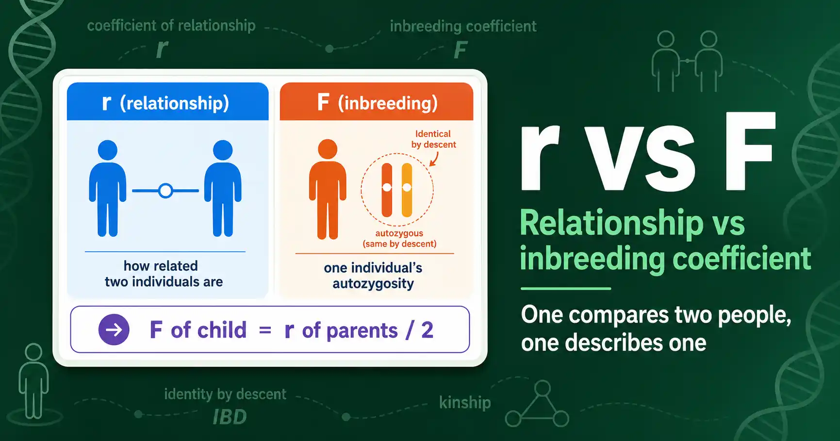 Coefficient of Relationship vs Inbreeding (r vs F) featured image