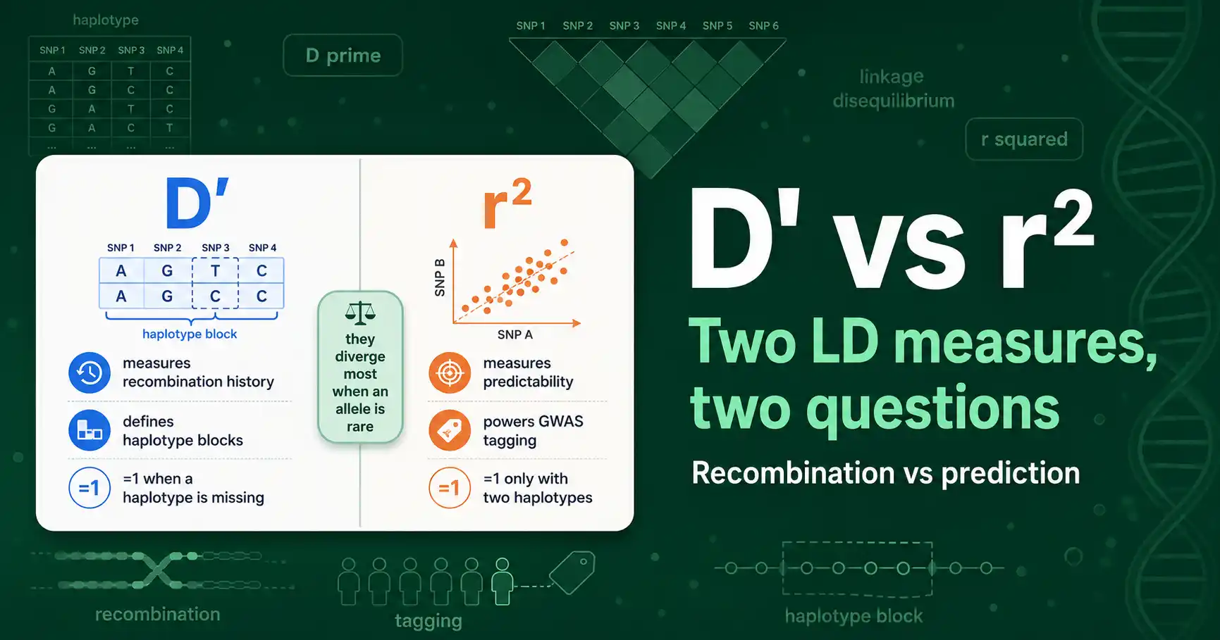 D' vs r²: Which LD Measure Should You Use? featured image