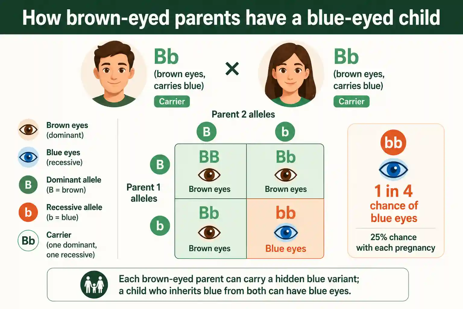 How two brown-eyed carriers can have a blue-eyed child