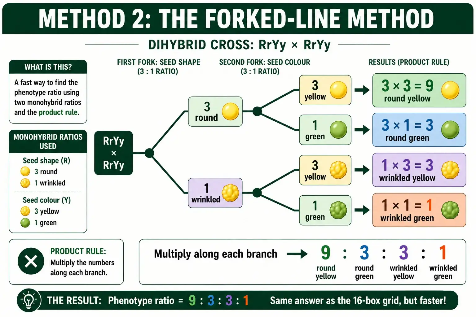 Forked-line method branch diagram