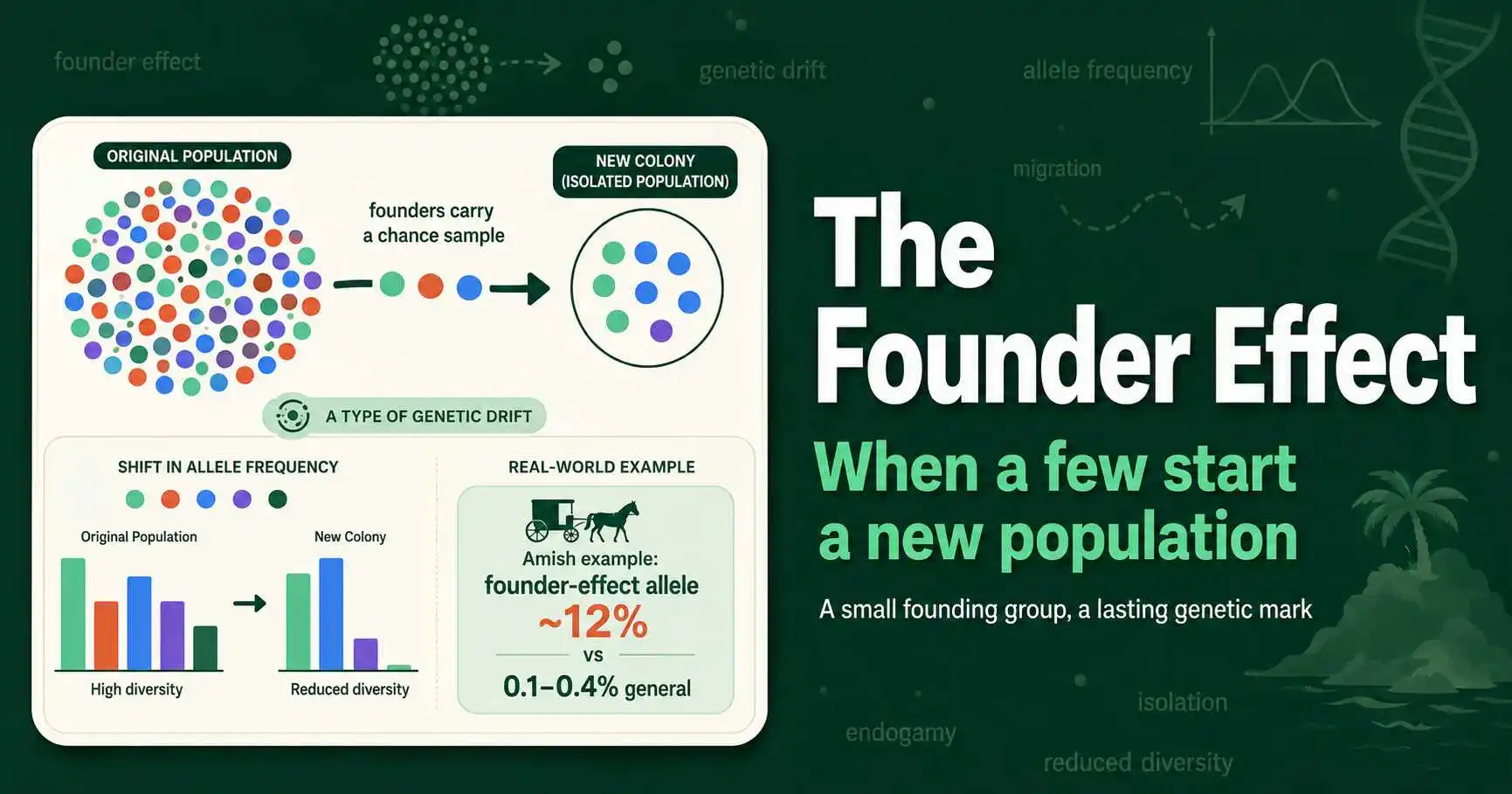 Founder Effect: Definition, Causes, and Examples featured image