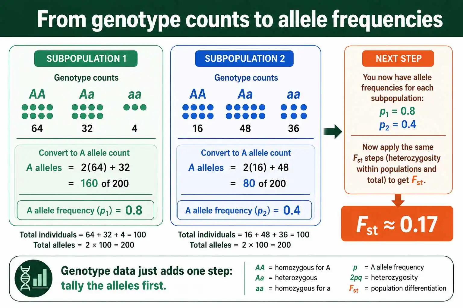 Converting genotype counts to allele frequencies