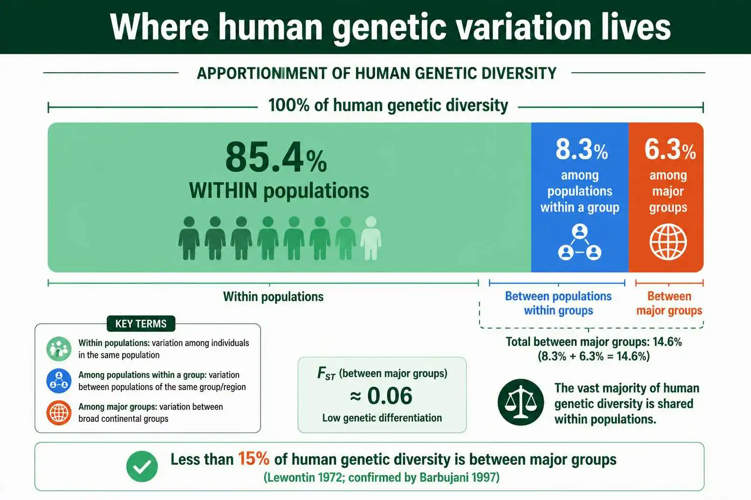 Human genetic variation: within versus between populations
