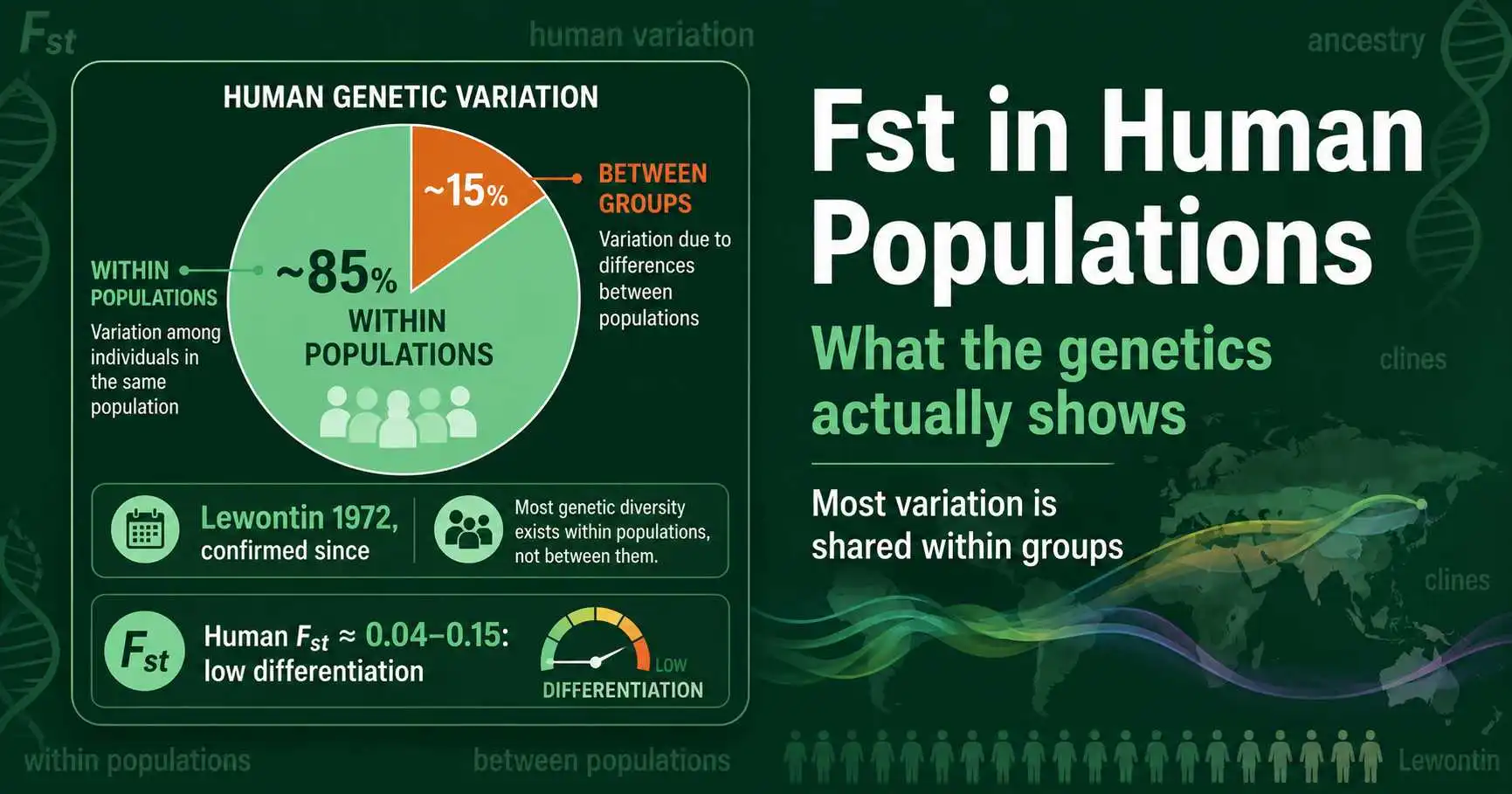 Fst in Human Populations and Ancestry featured image