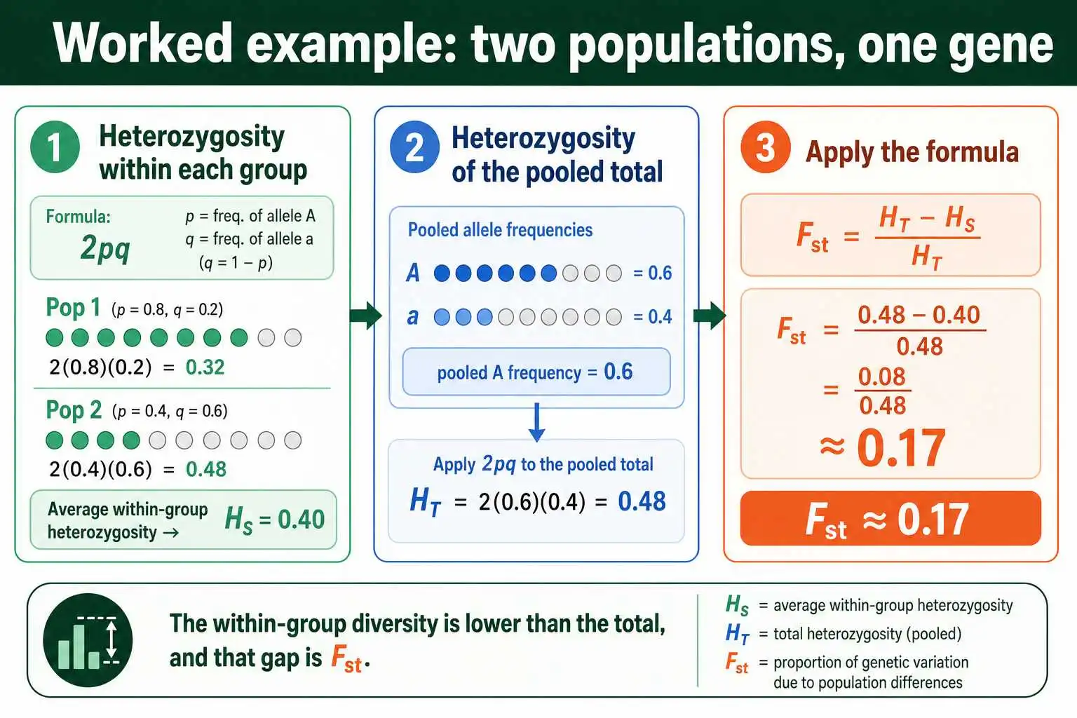 Worked Fst calculation steps
