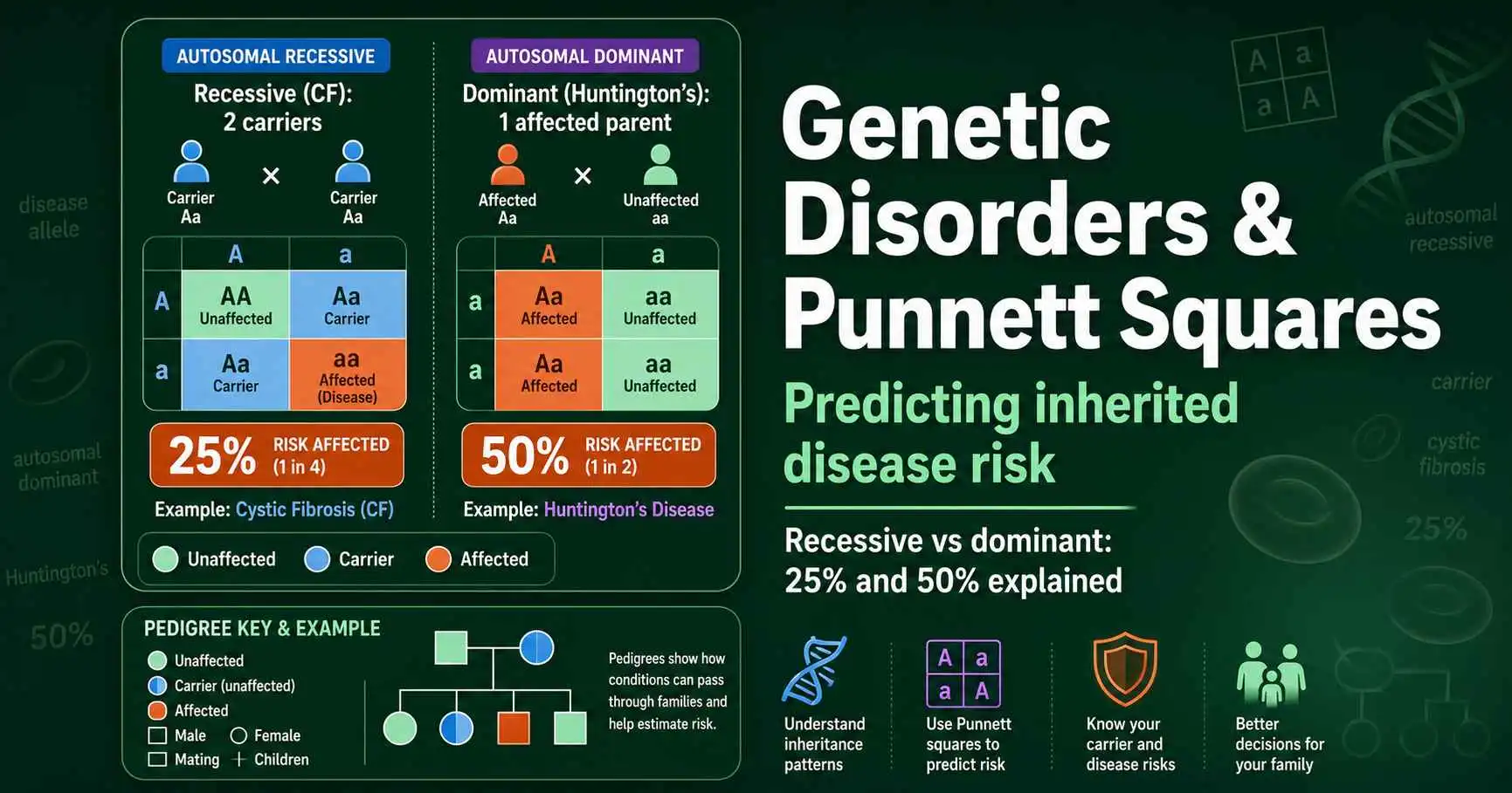 Genetic Disorders and Punnett Squares: Disease Risk featured image
