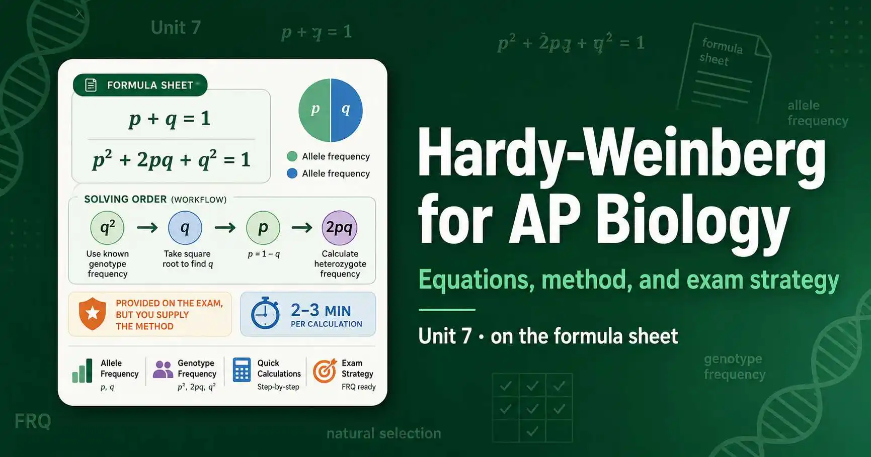 Hardy-Weinberg for AP Biology: Exam Guide featured image