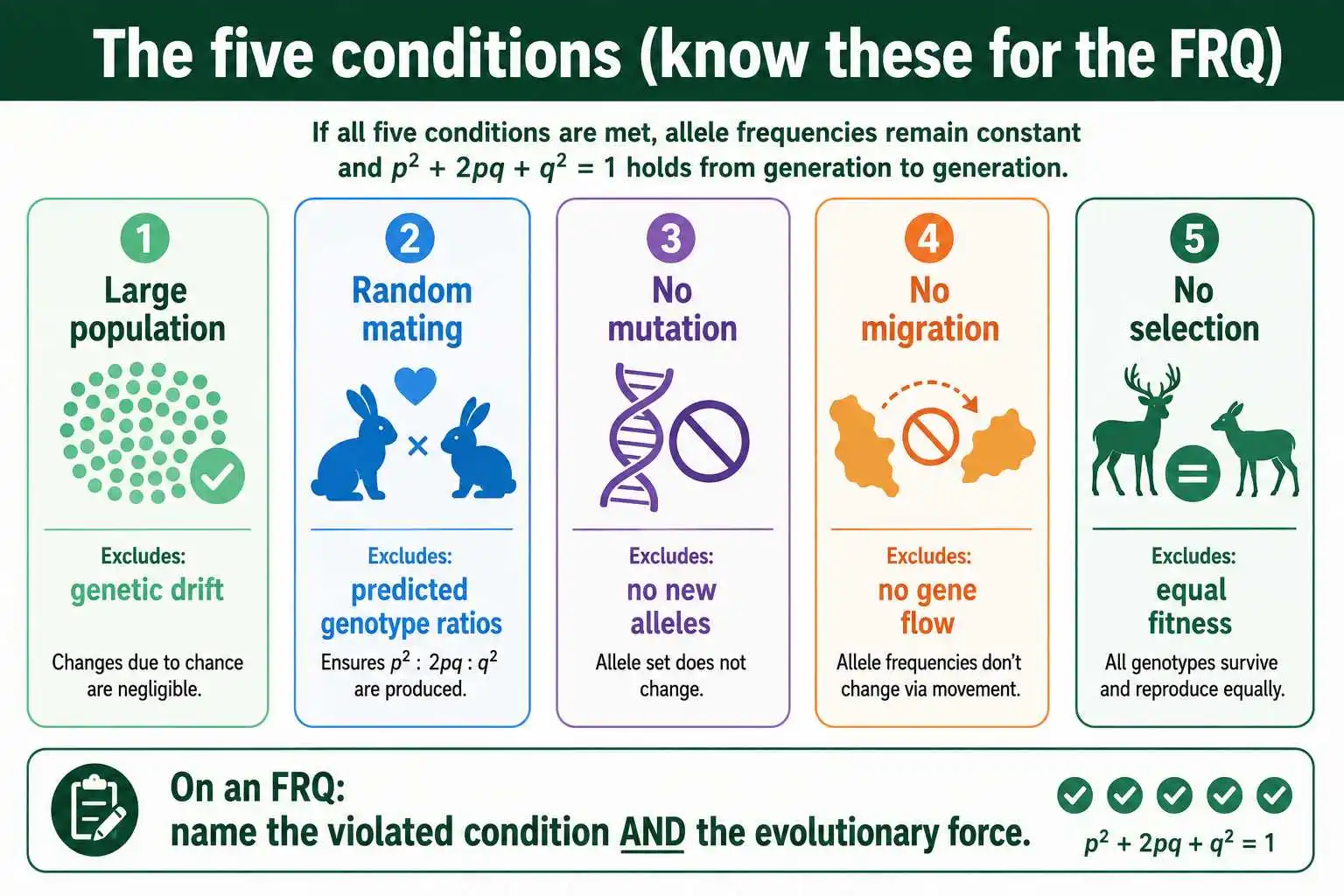 Five AP Hardy-Weinberg conditions