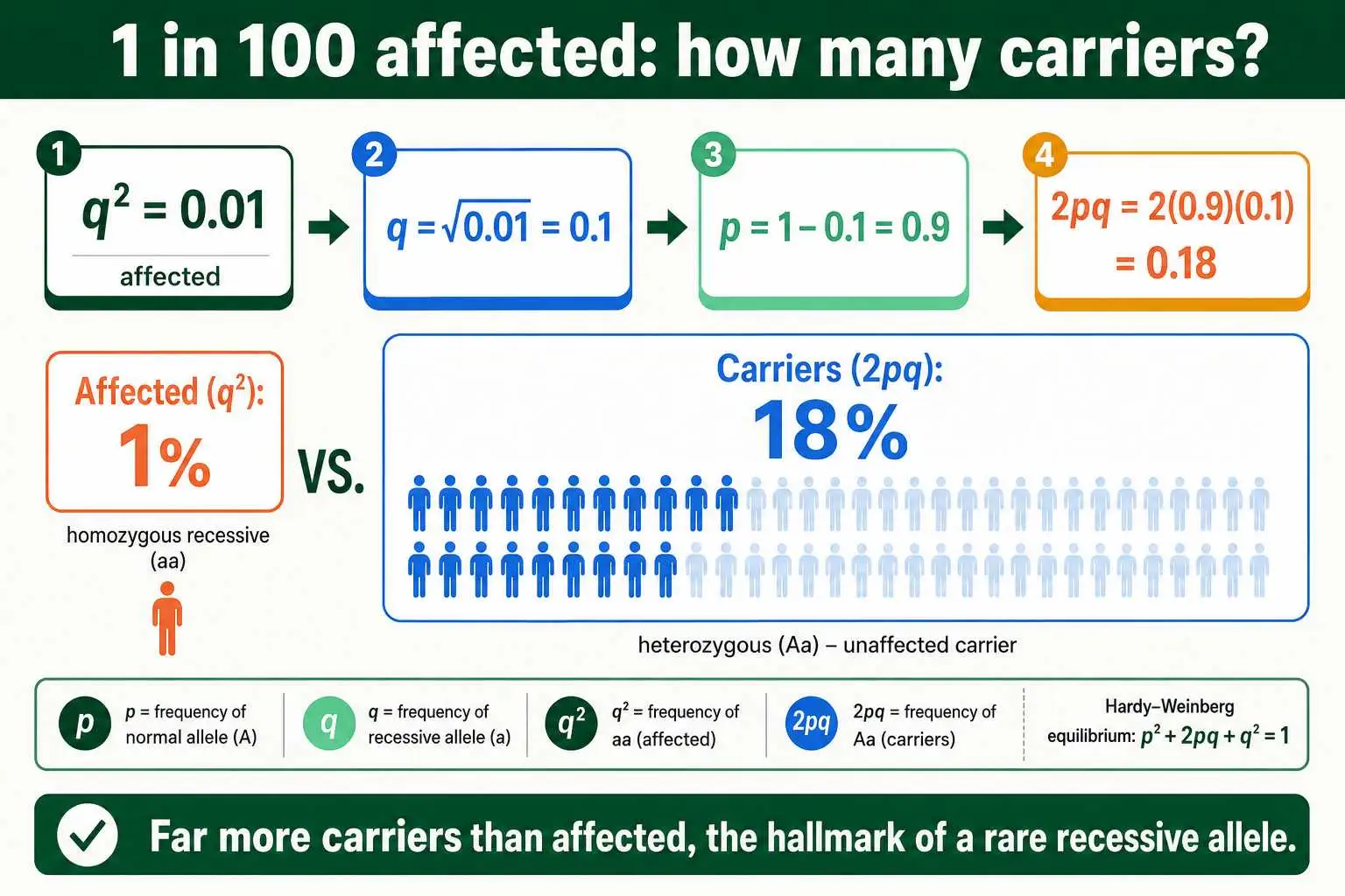 Carriers vs affected Hardy-Weinberg example