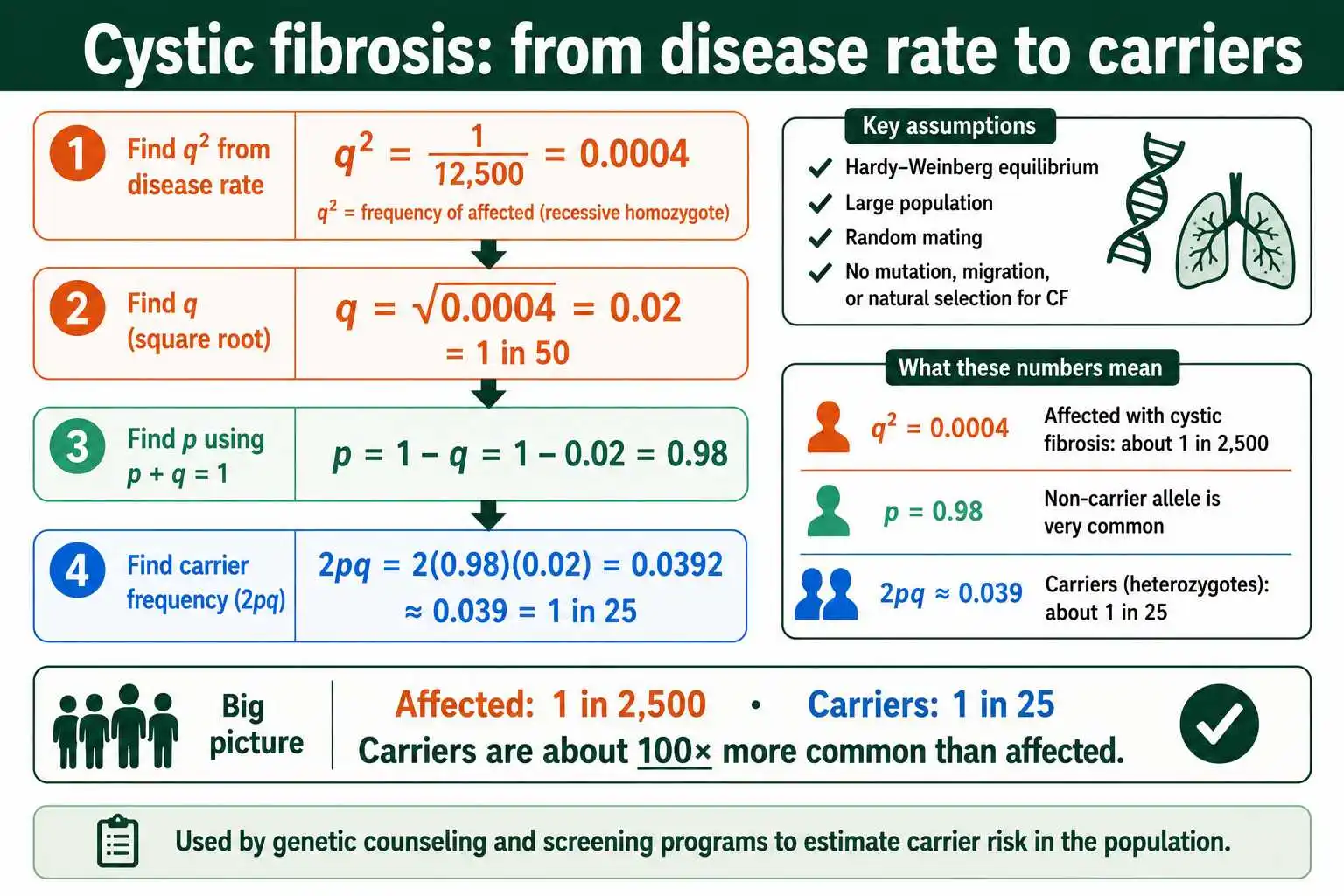 Cystic fibrosis carrier estimate