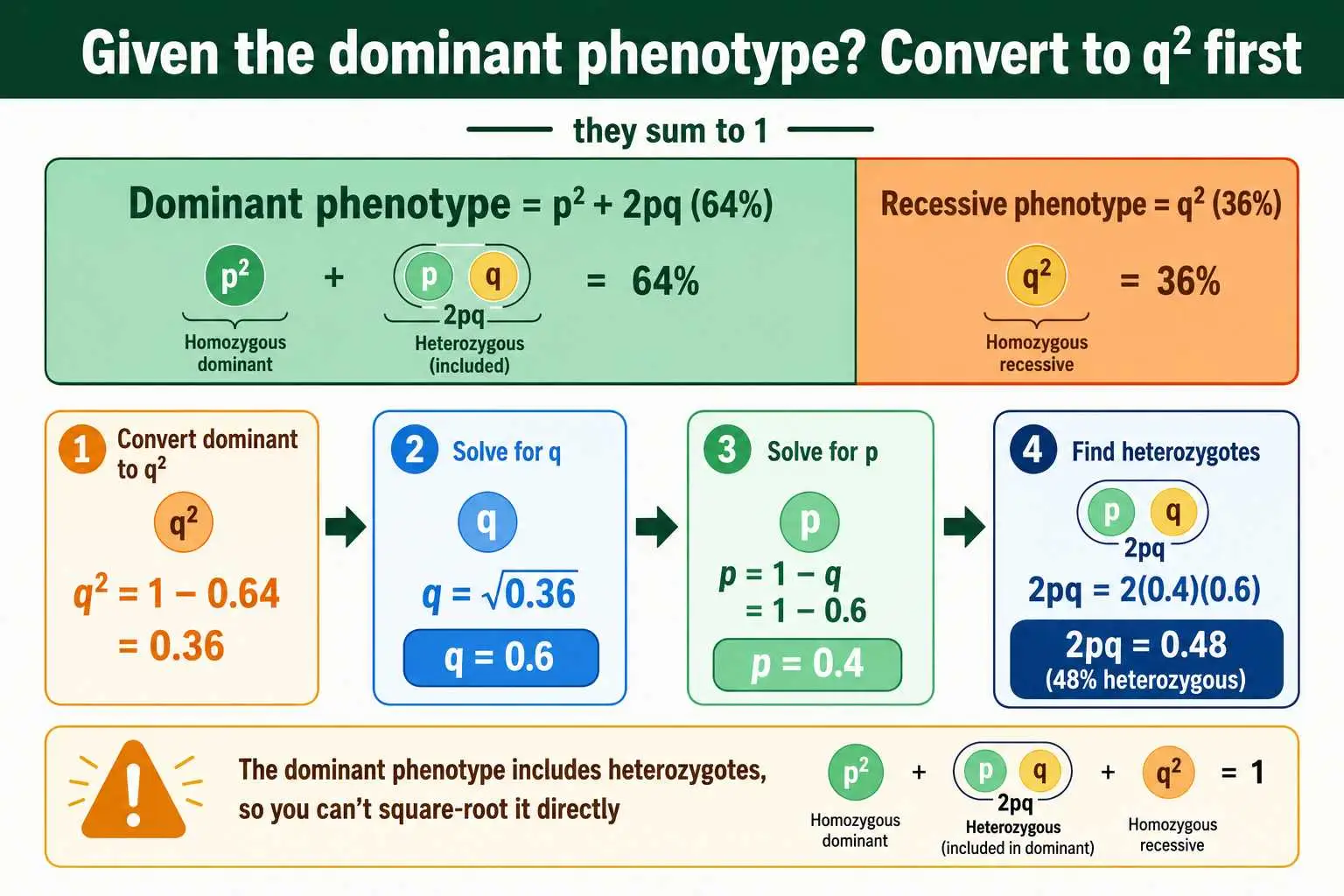 Hardy-Weinberg from dominant phenotype