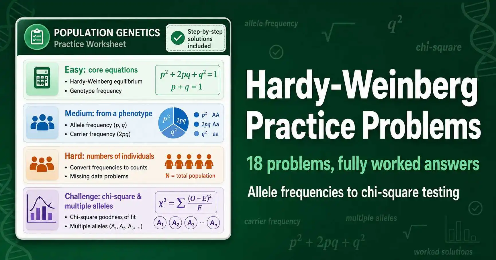 Hardy-Weinberg Practice Problems With Answers featured image