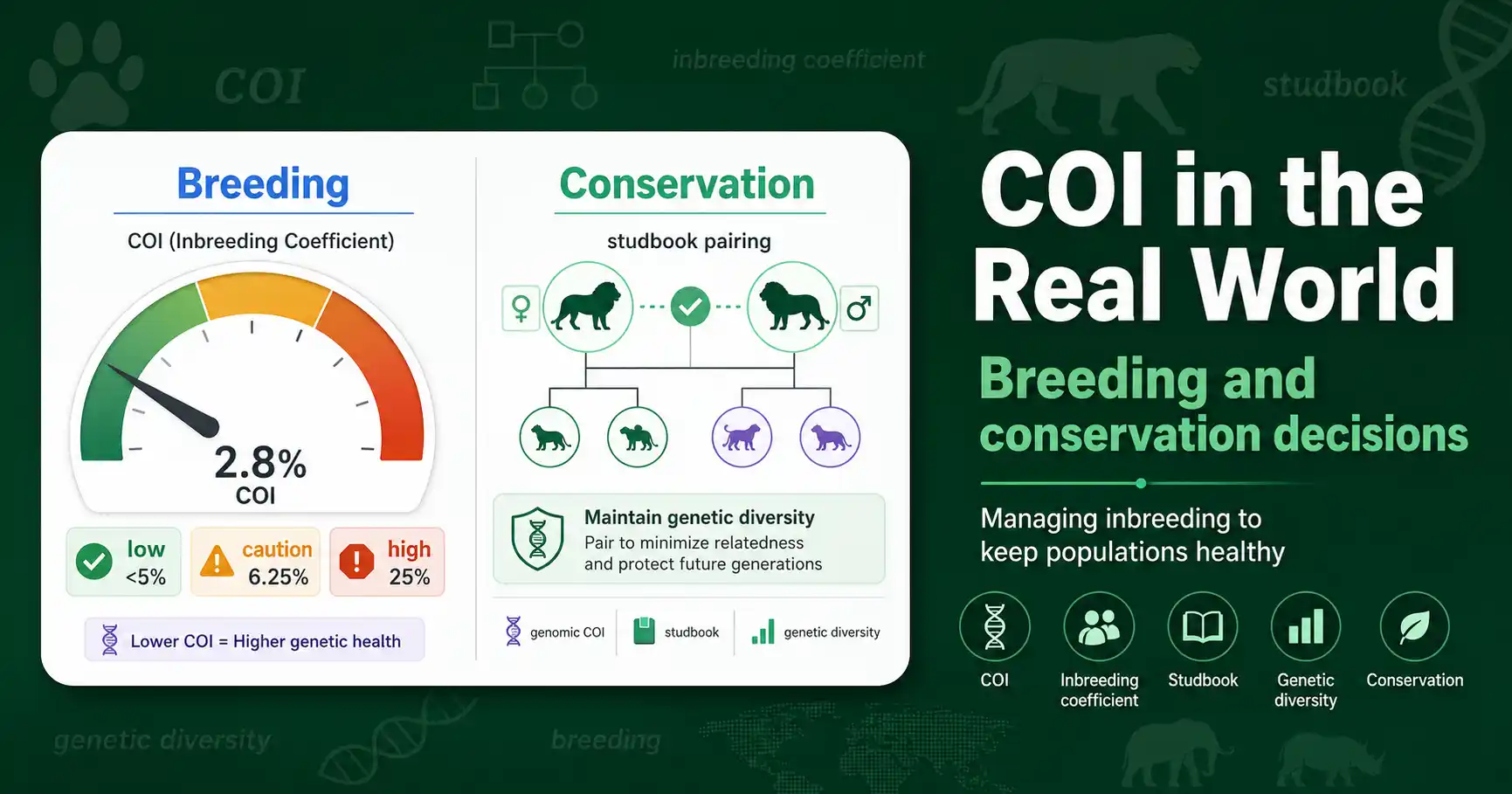 Inbreeding Coefficient in Conservation and Breeding featured image