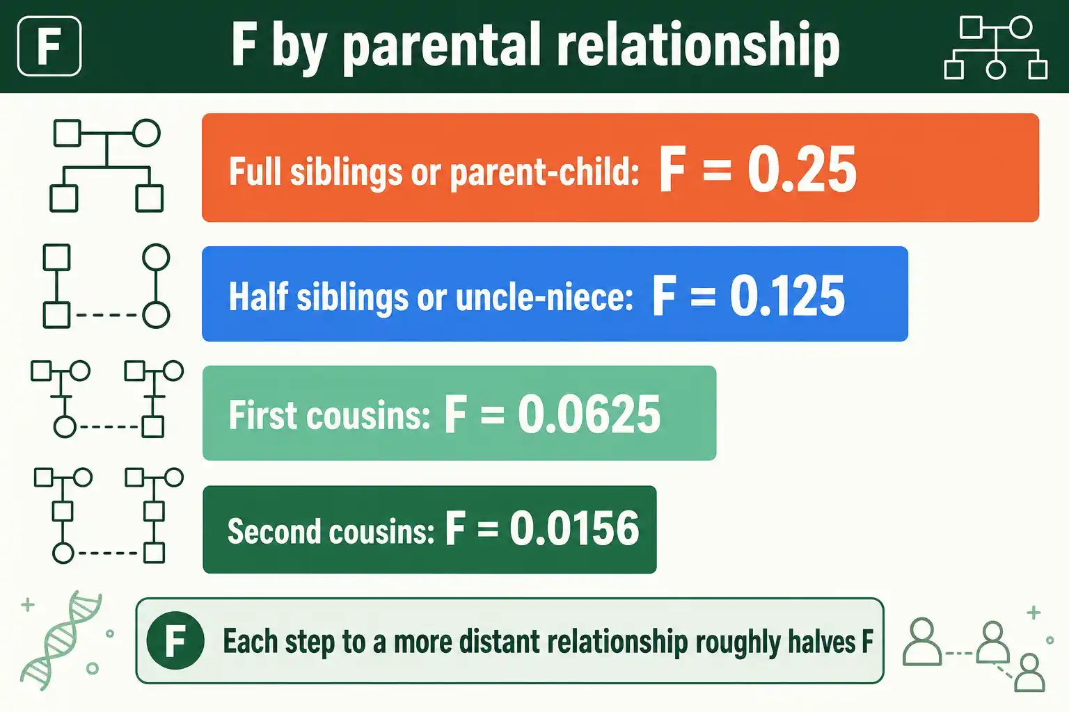 Inbreeding coefficient values by relationship