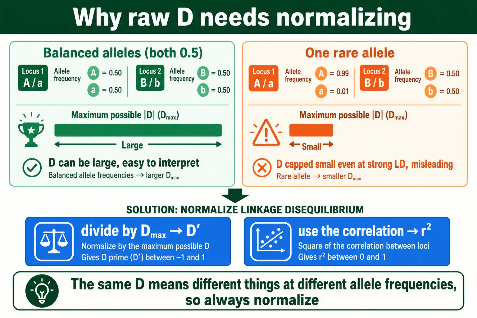 Why raw D depends on allele frequencies and needs normalizing
