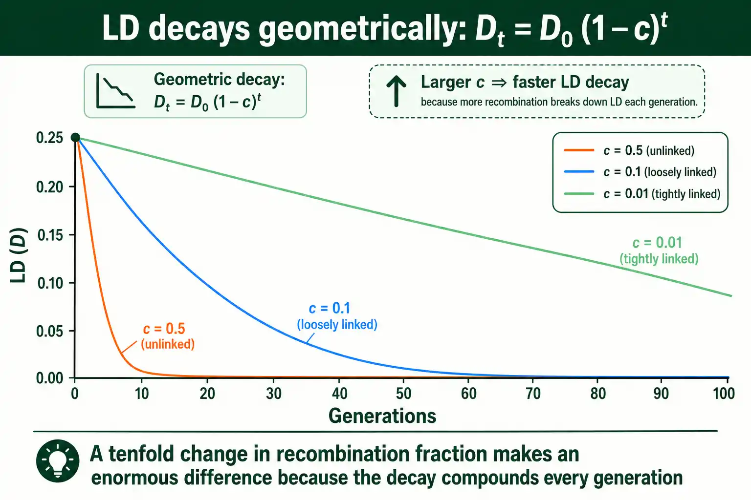 How linkage disequilibrium decays over generations