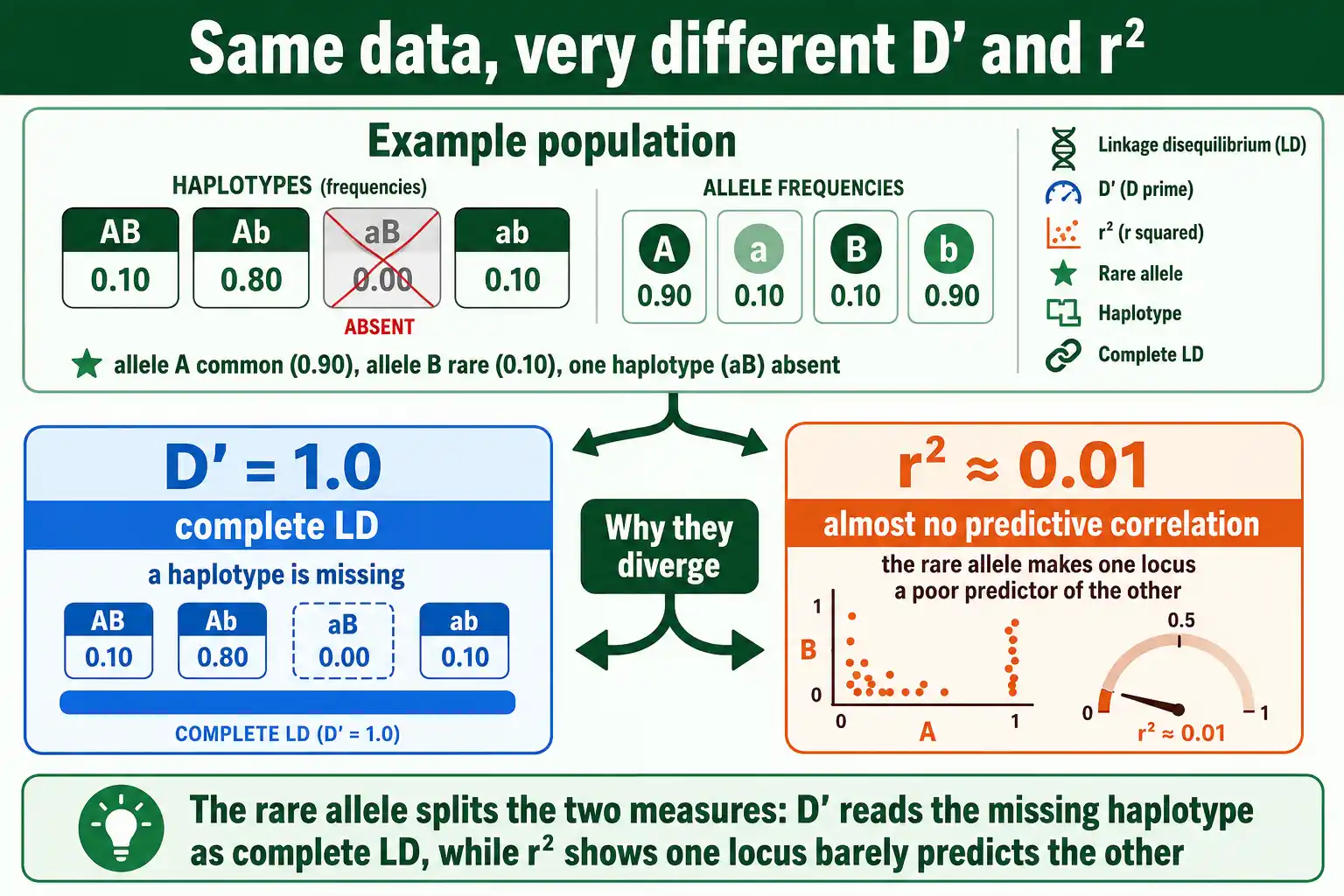 Why D prime and r squared diverge with a rare allele