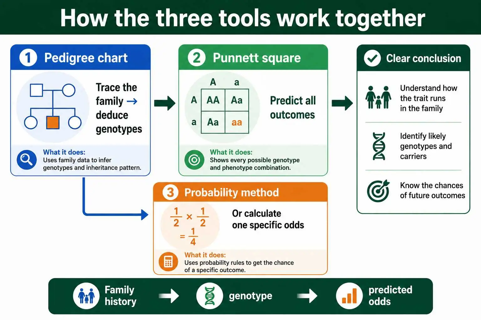 Three genetics tools workflow