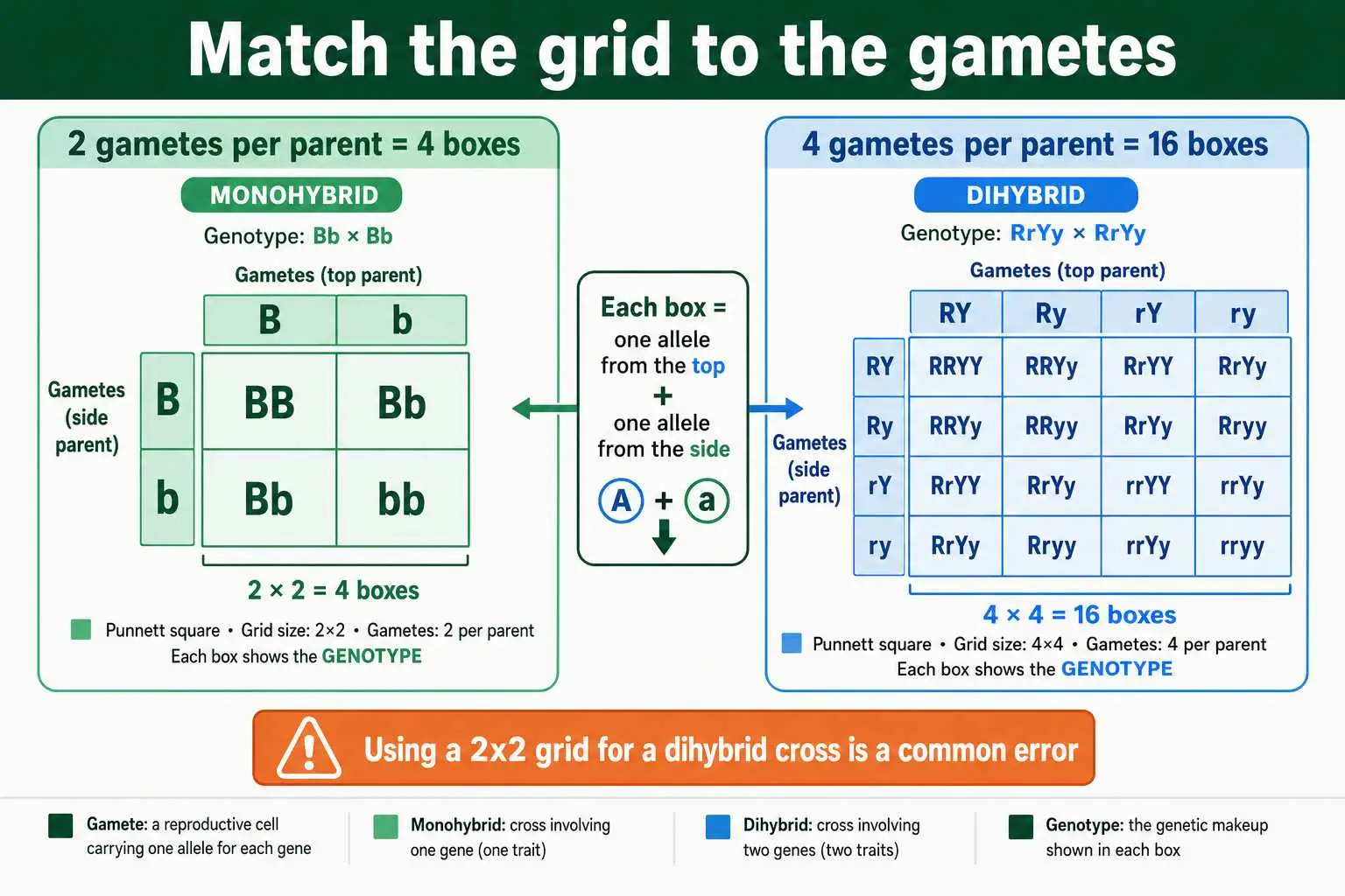 Correct grid setup