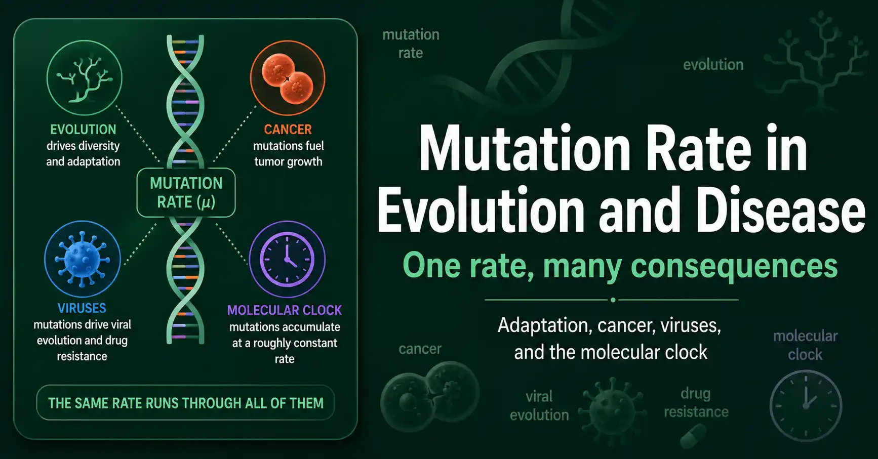 Mutation Rate in Evolution and Disease featured image