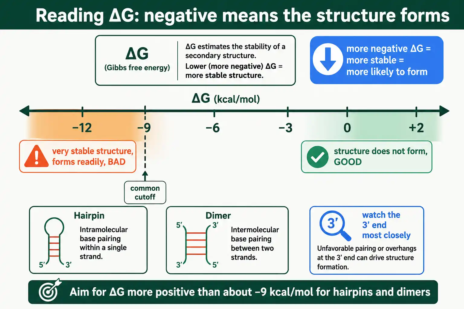 A negative delta G means an oligo structure forms; positive means it will not