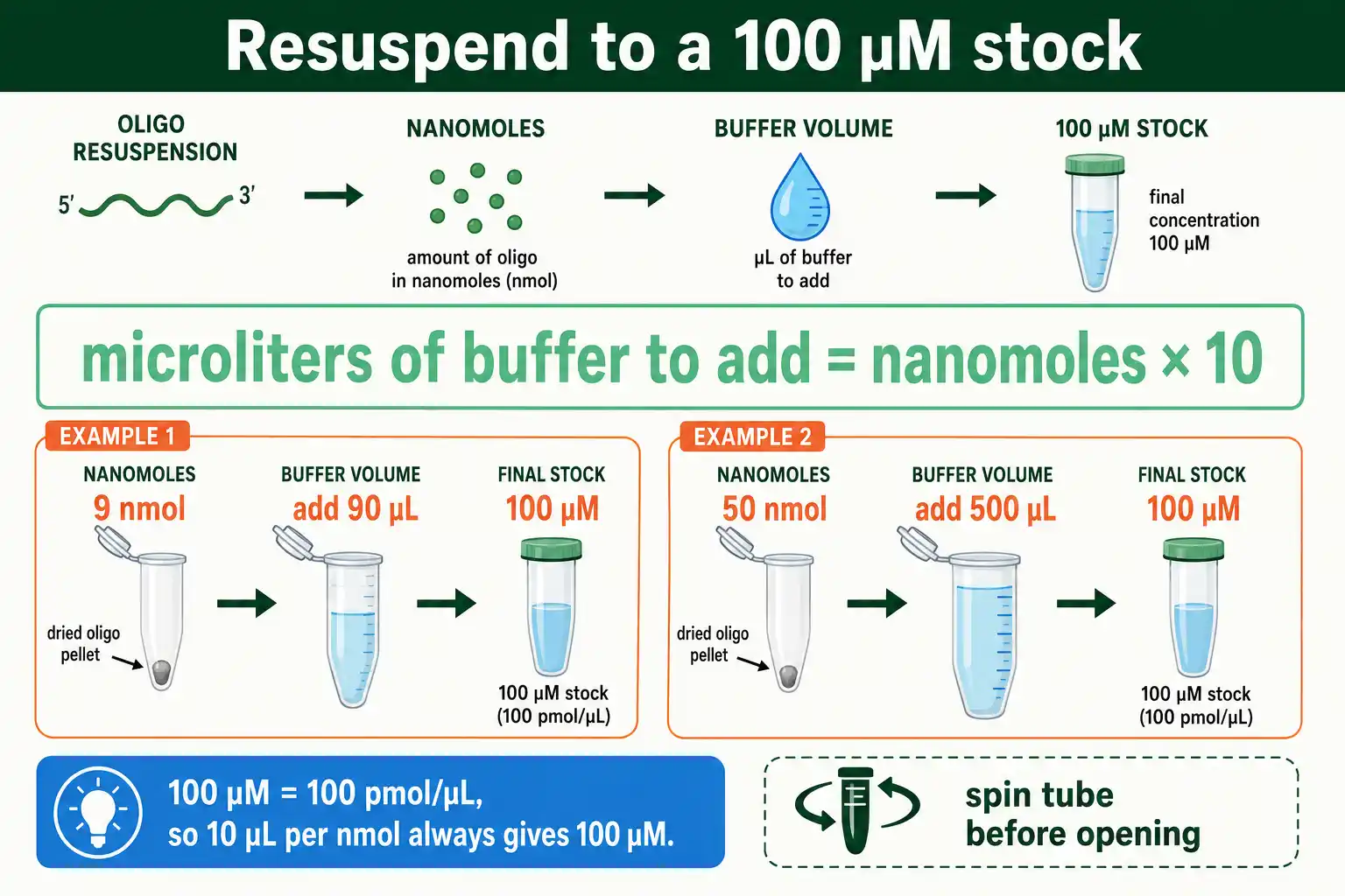 Resuspend a dried oligo: microliters of buffer equal ten times the nanomoles