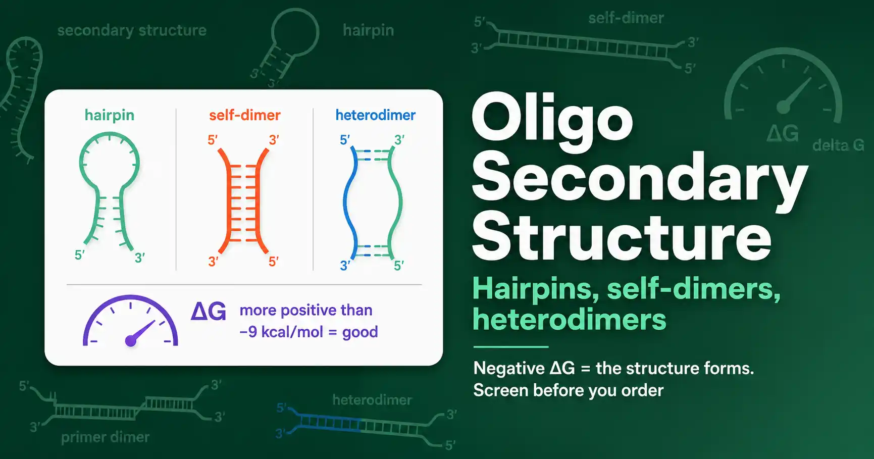 Oligo Secondary Structure: Hairpins and Dimers featured image