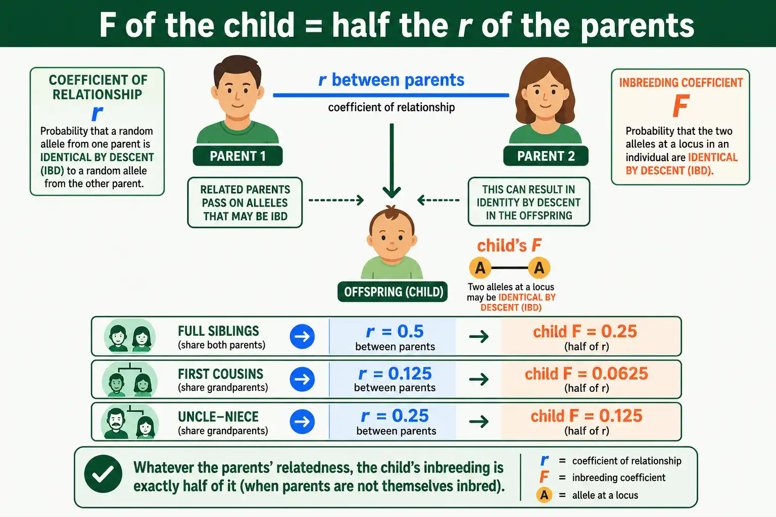 How r and F connect: F of child equals half the r of parents