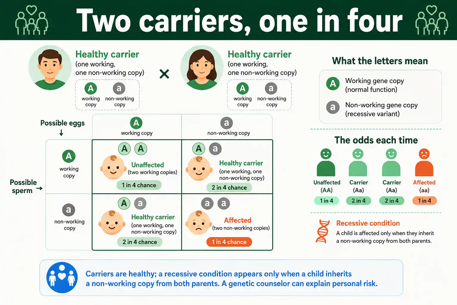 How two healthy carriers can have a child with a recessive condition