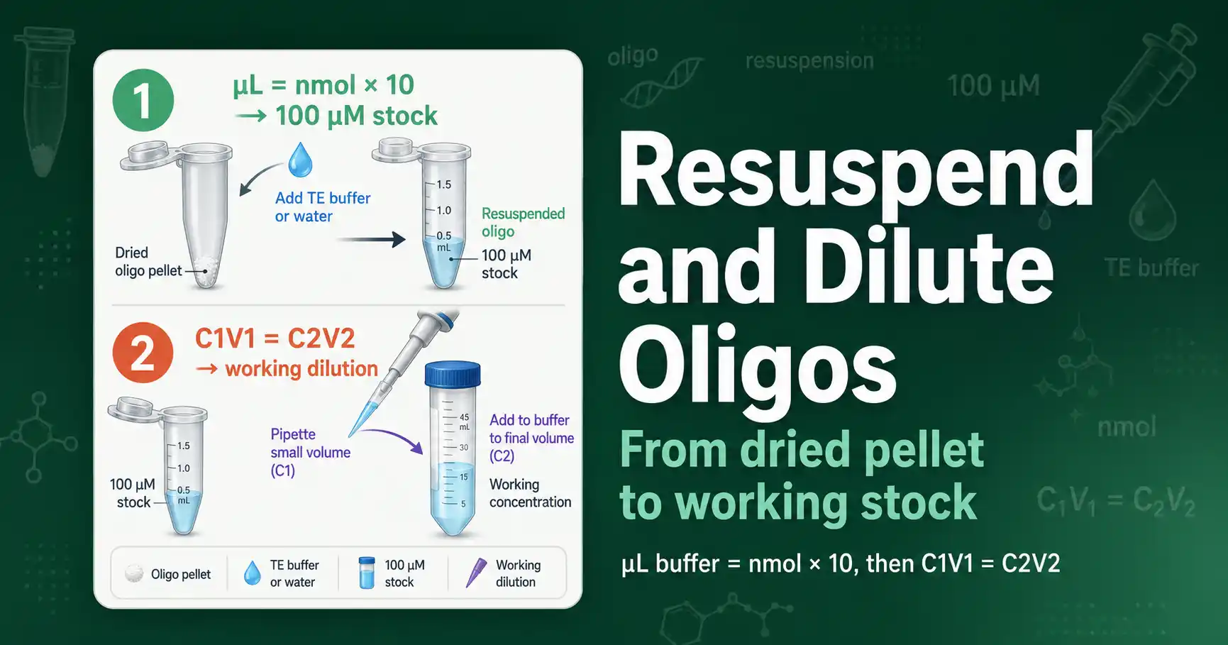 How to Resuspend and Dilute Oligos featured image